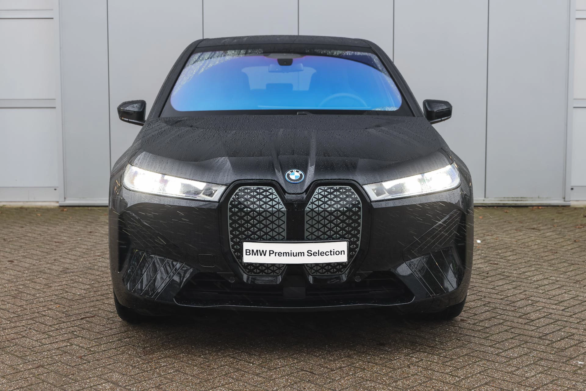 Hoofdafbeelding BMW iX