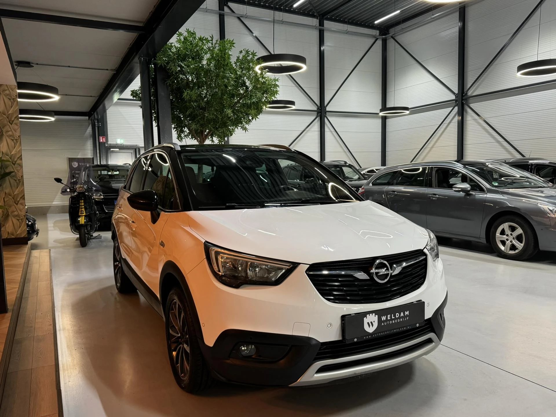 Hoofdafbeelding Opel Crossland X