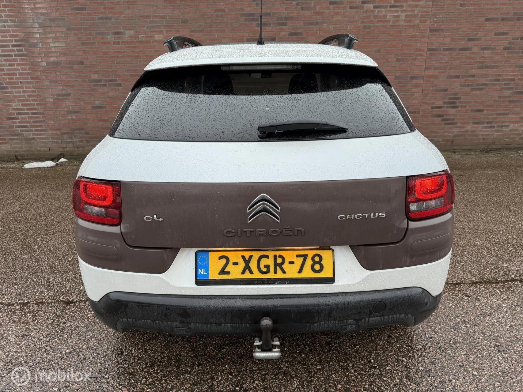 Hoofdafbeelding Citroën C4 Cactus