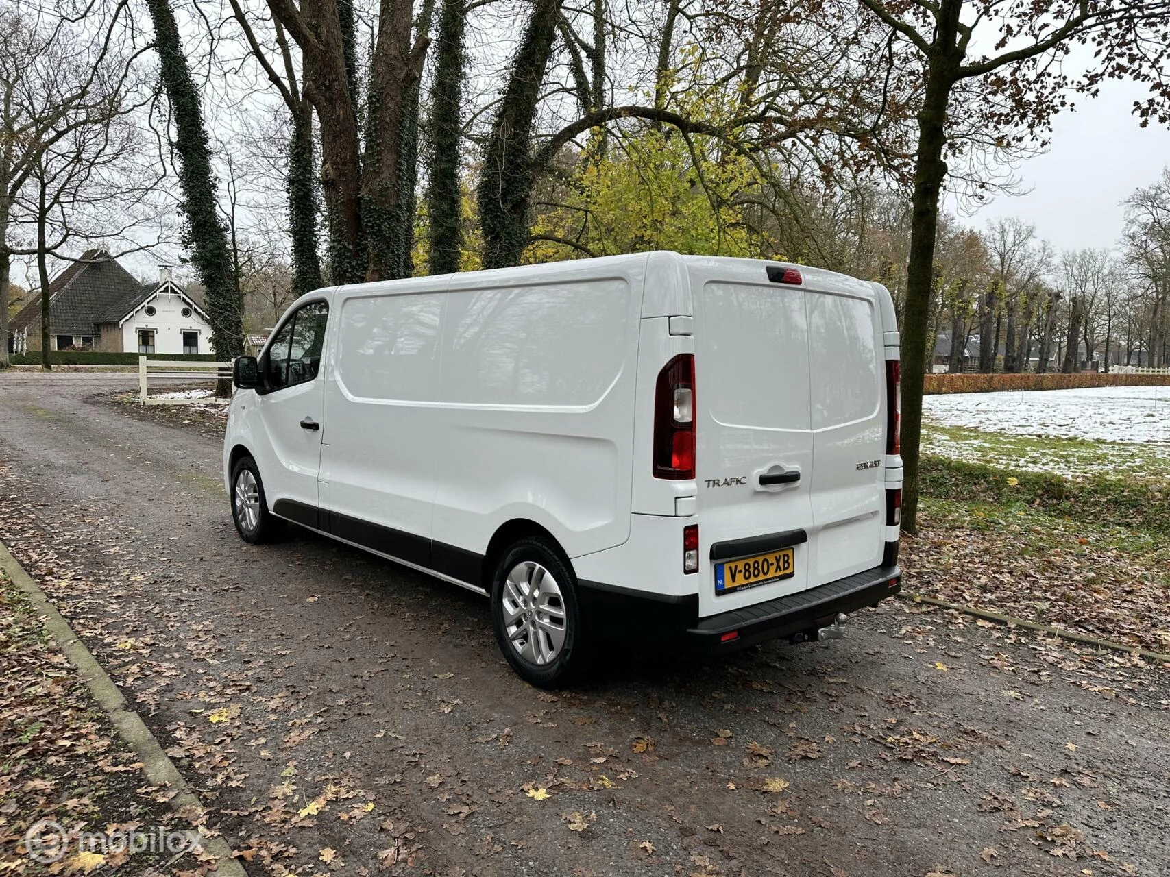 Hoofdafbeelding Renault Trafic