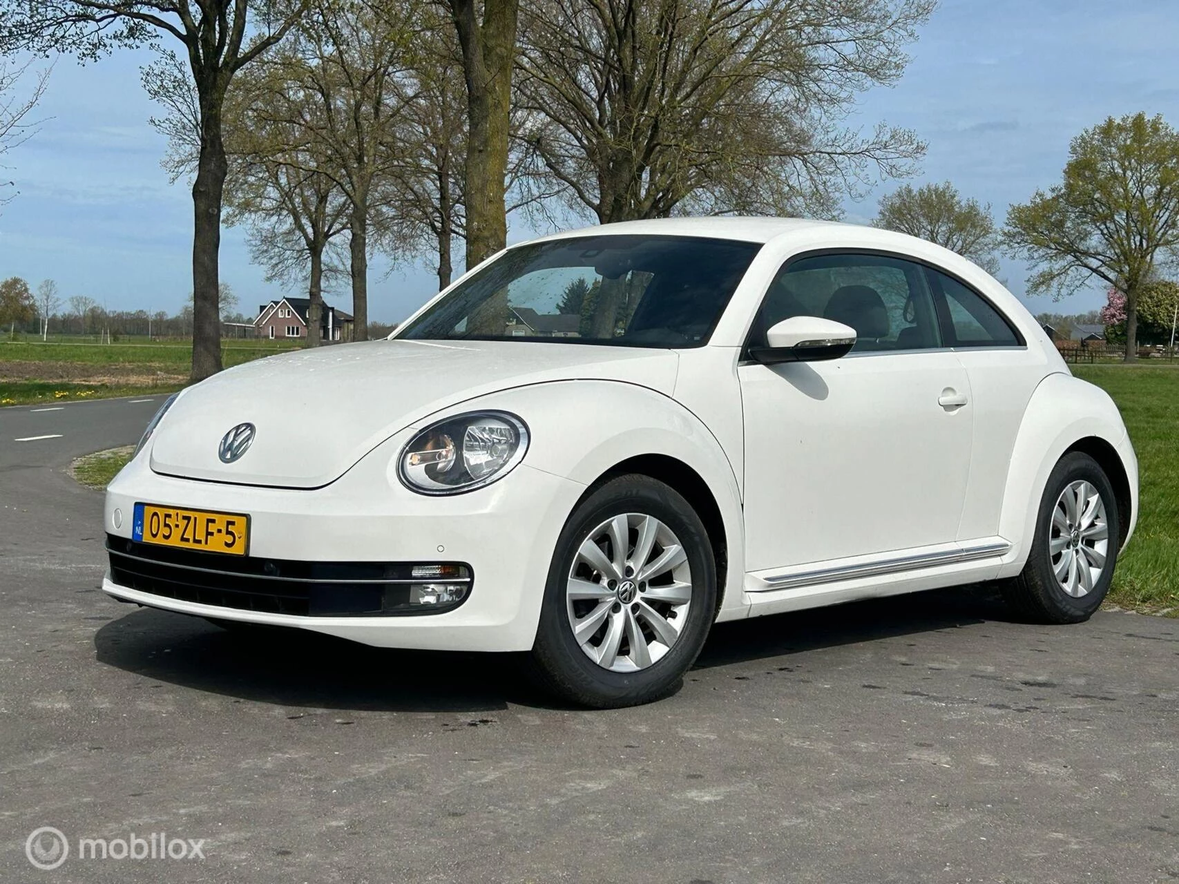 Hoofdafbeelding Volkswagen Beetle