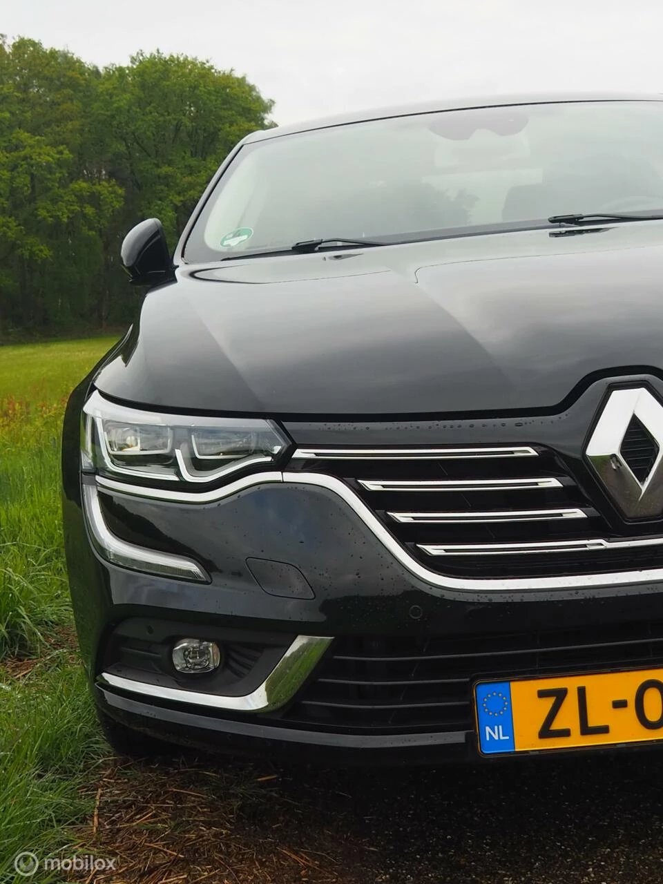 Hoofdafbeelding Renault Talisman