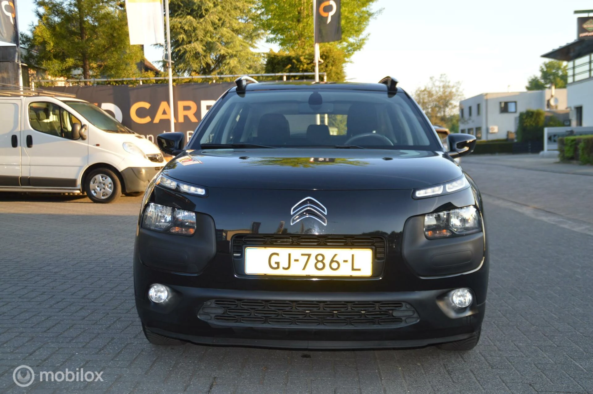 Hoofdafbeelding Citroën C4 Cactus