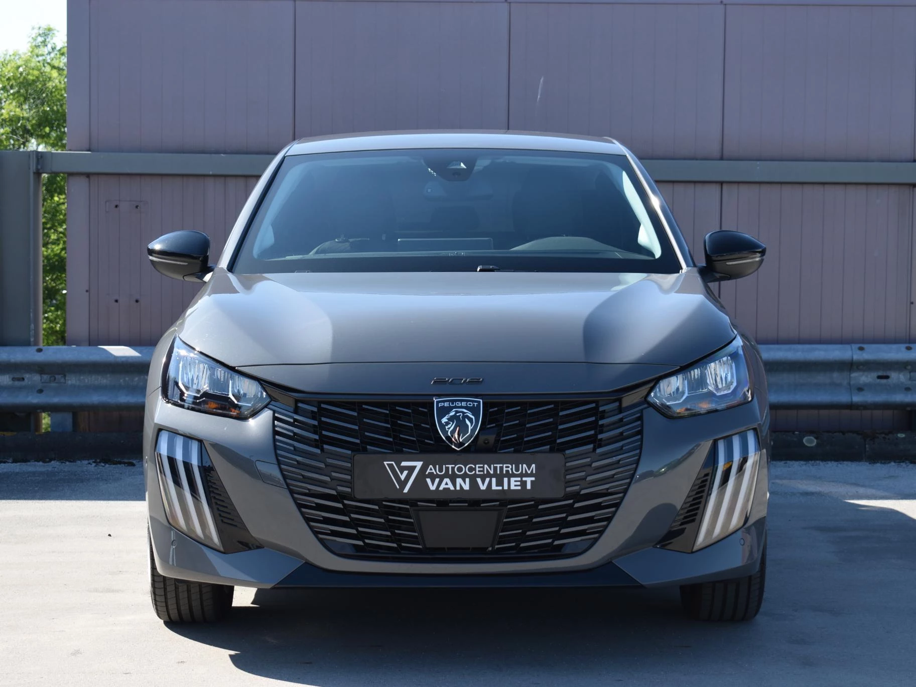 Hoofdafbeelding Peugeot e-208