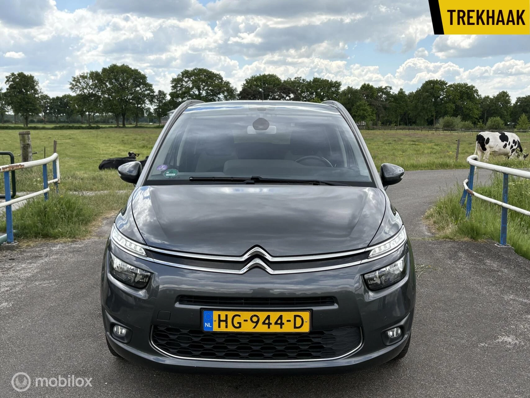 Hoofdafbeelding Citroën Grand C4 Picasso