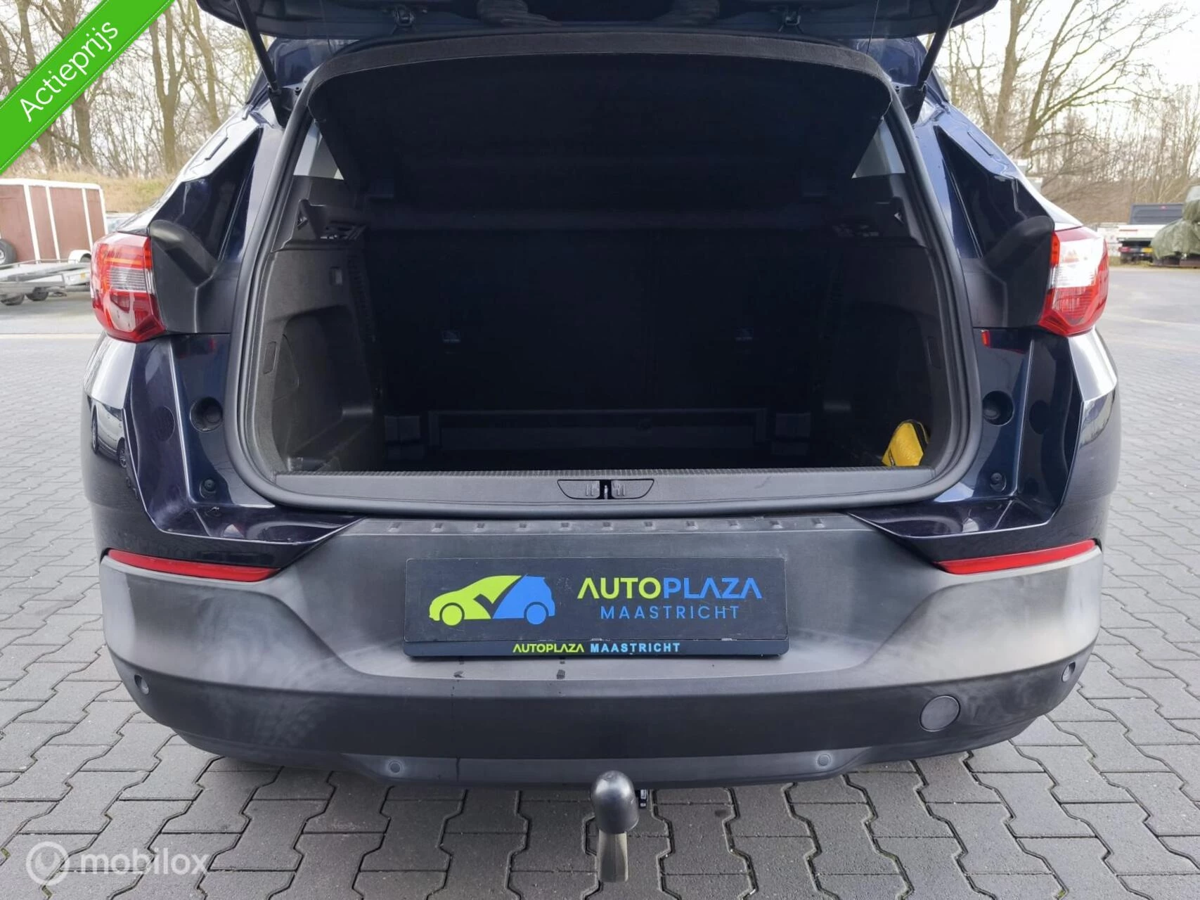 Hoofdafbeelding Opel Grandland X