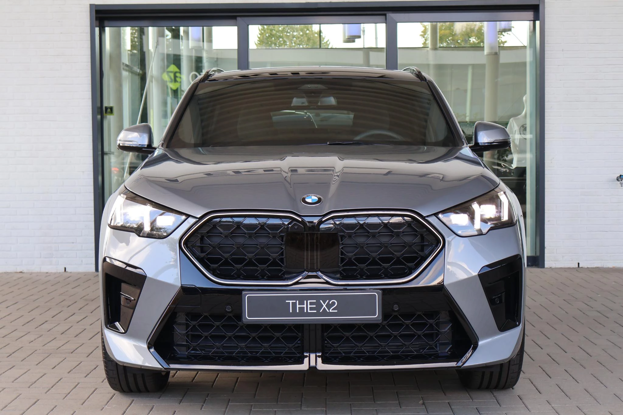 Hoofdafbeelding BMW X2