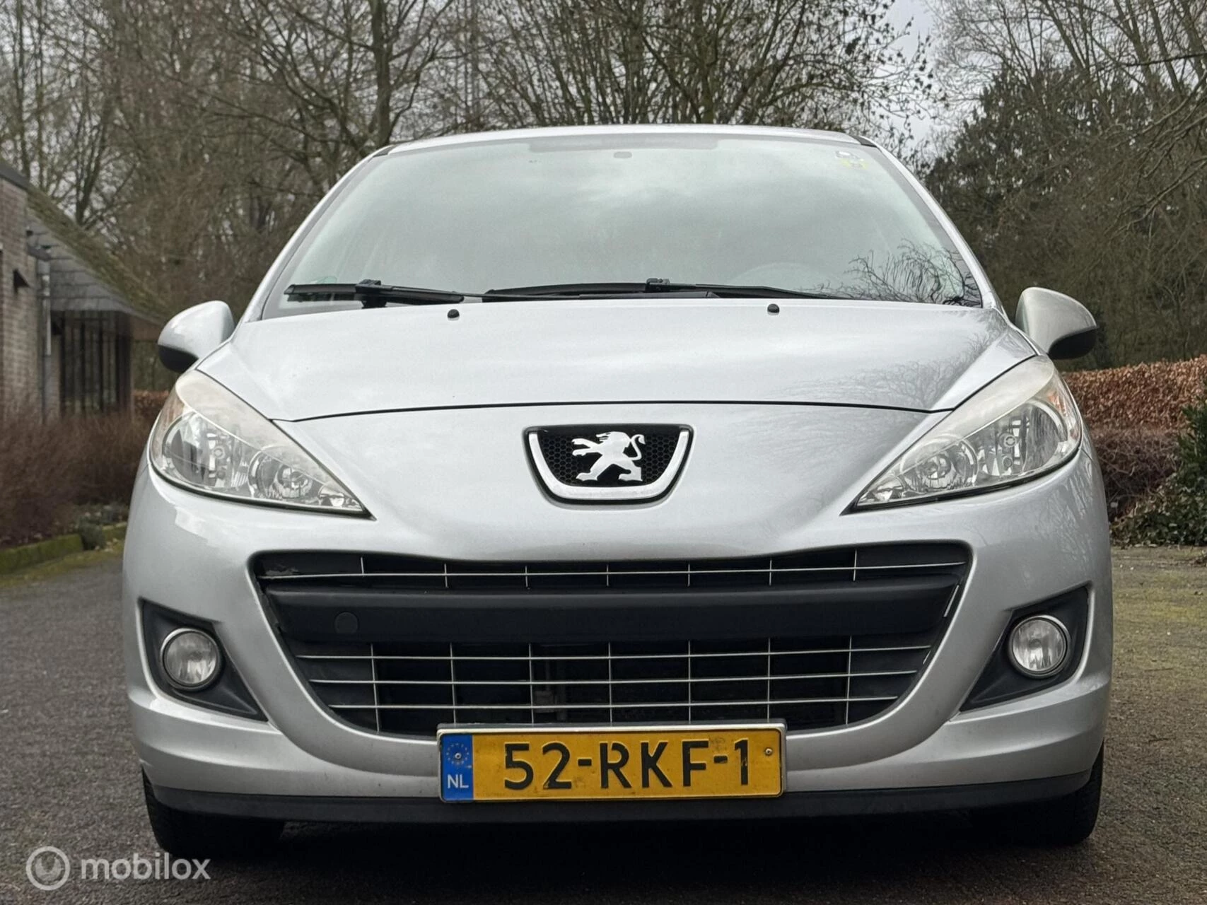 Hoofdafbeelding Peugeot 207