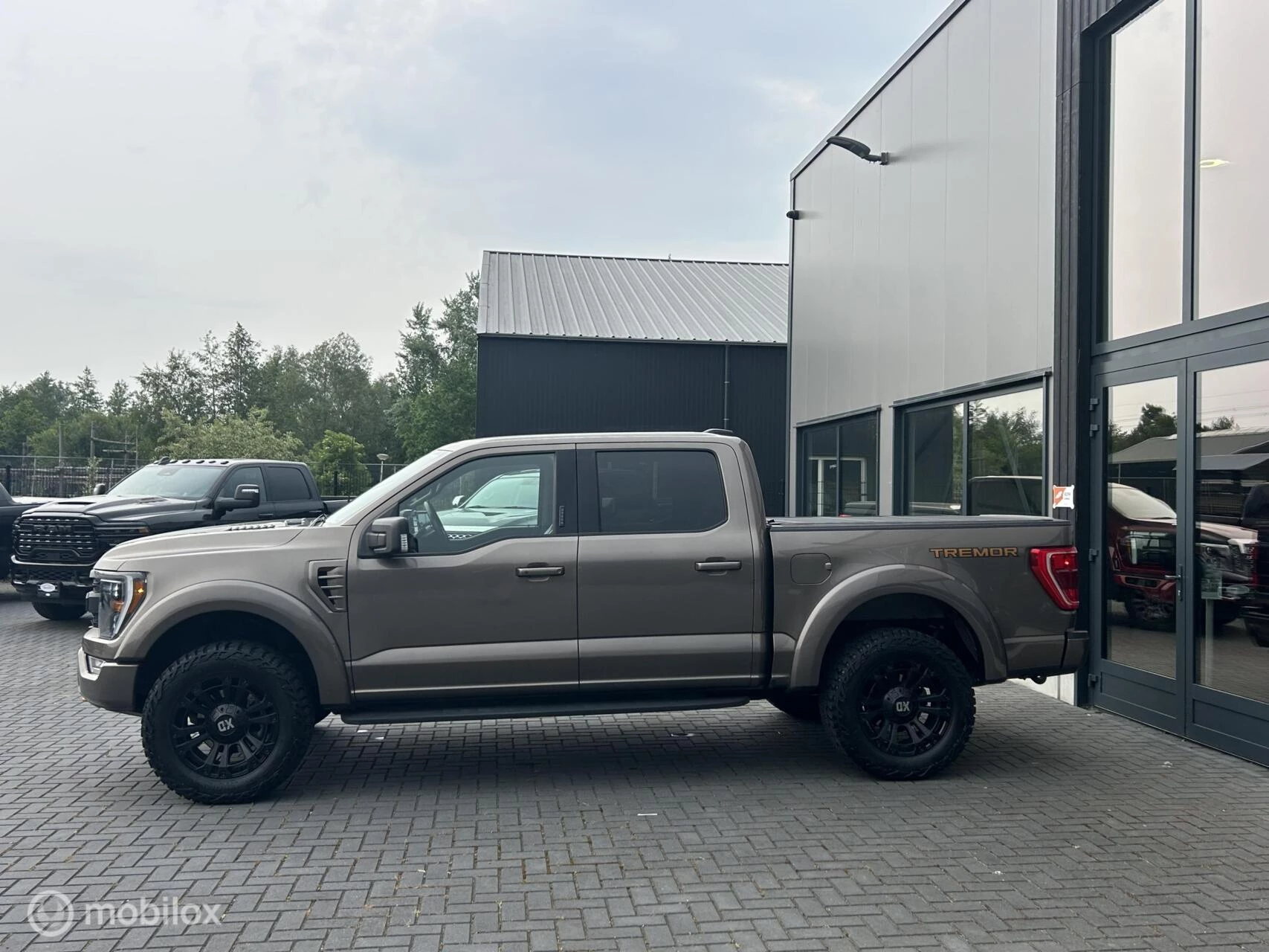 Hoofdafbeelding Ford F-150