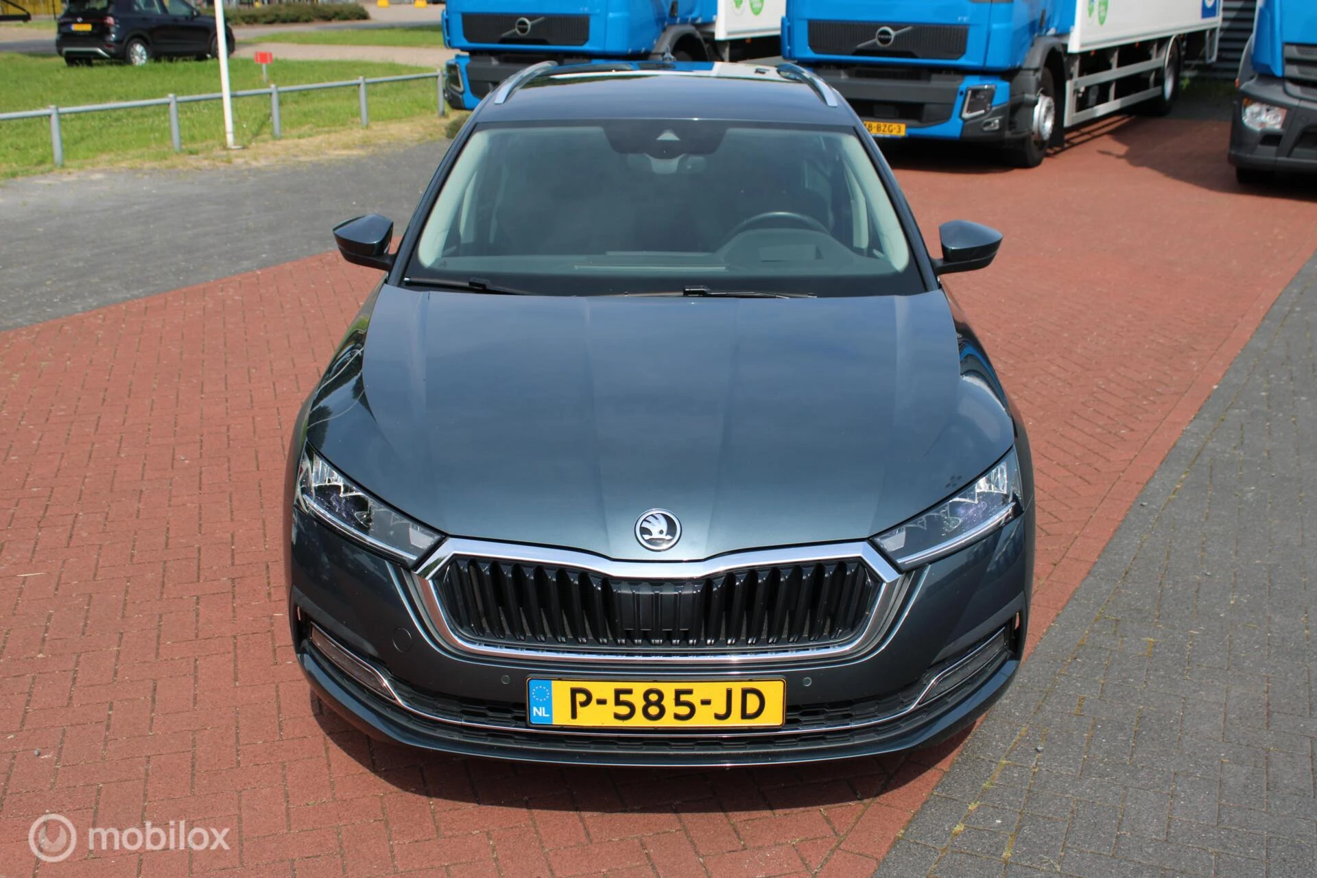 Hoofdafbeelding Škoda Octavia