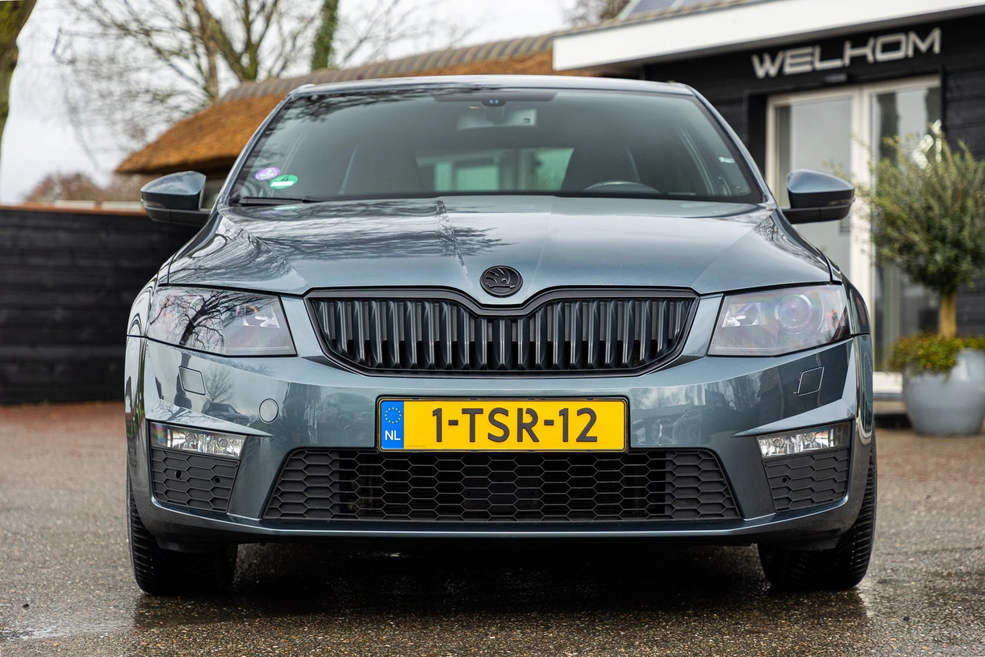 Hoofdafbeelding Škoda Octavia