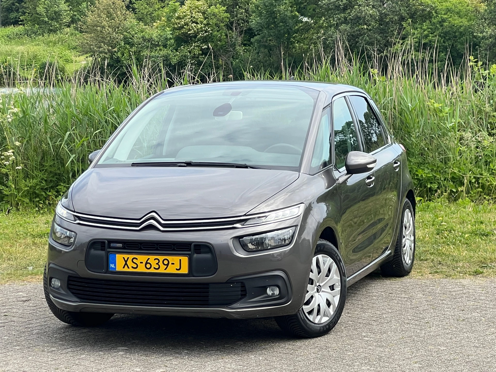 Hoofdafbeelding Citroën C4 Picasso
