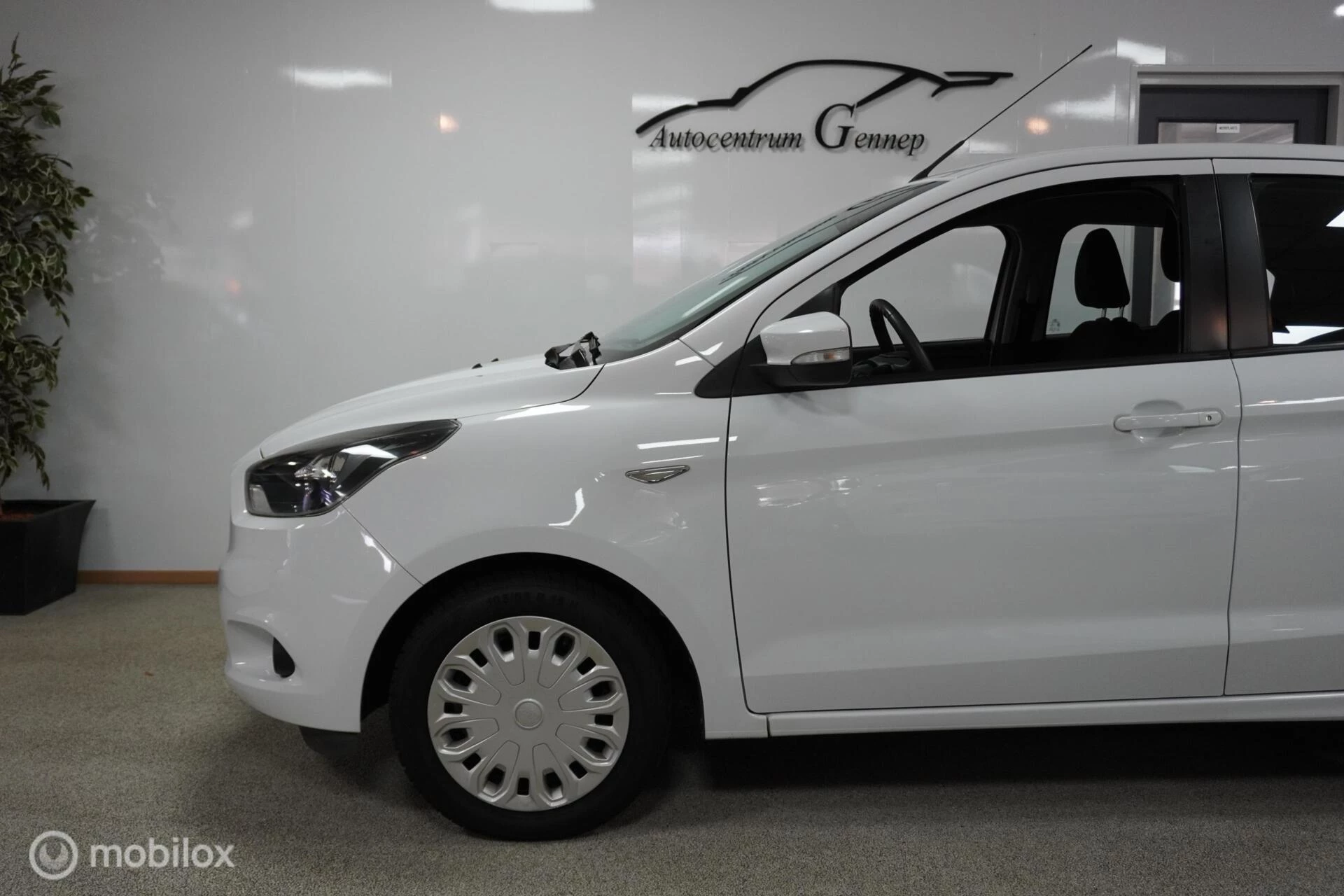Hoofdafbeelding Ford Ka