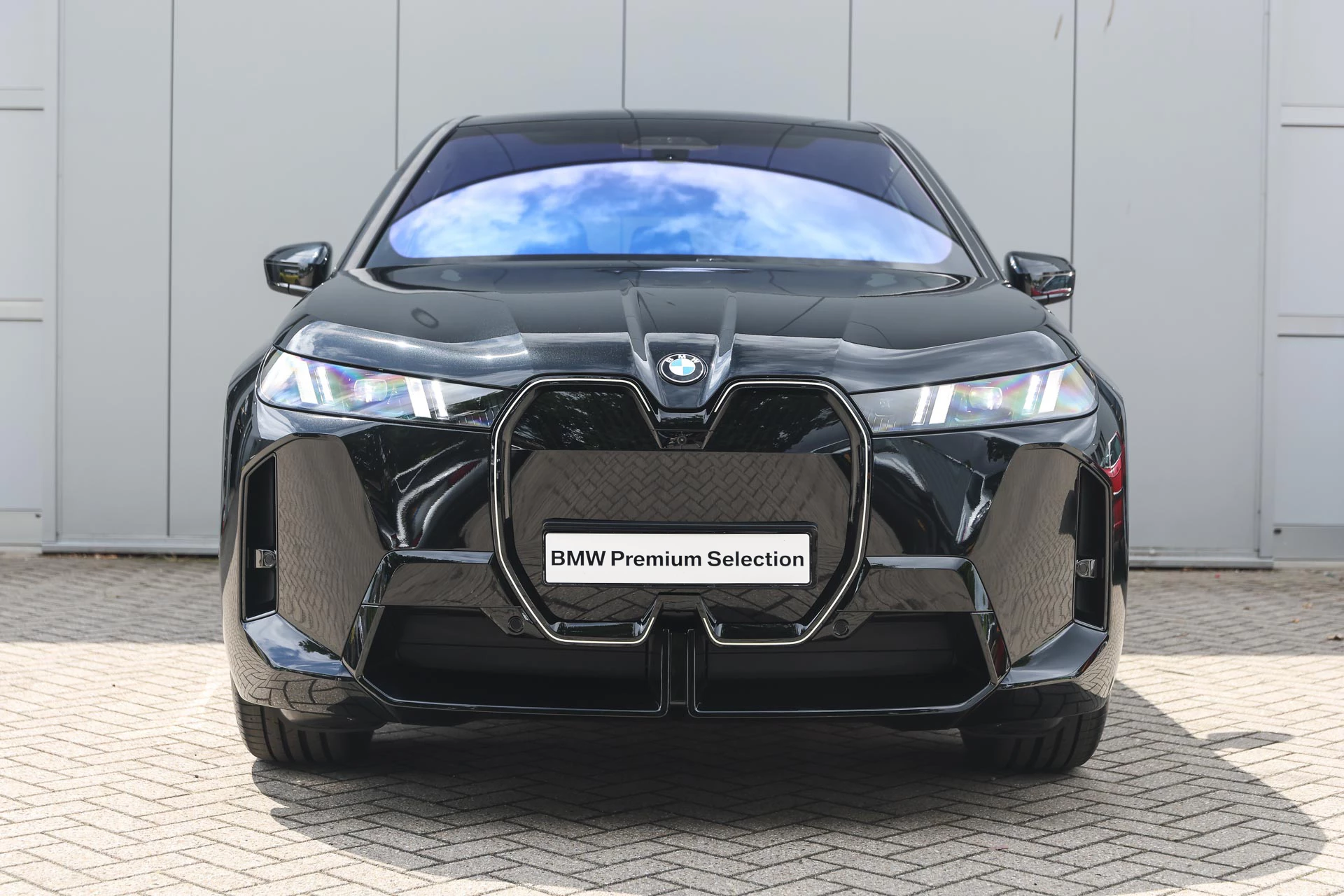 Hoofdafbeelding BMW iX
