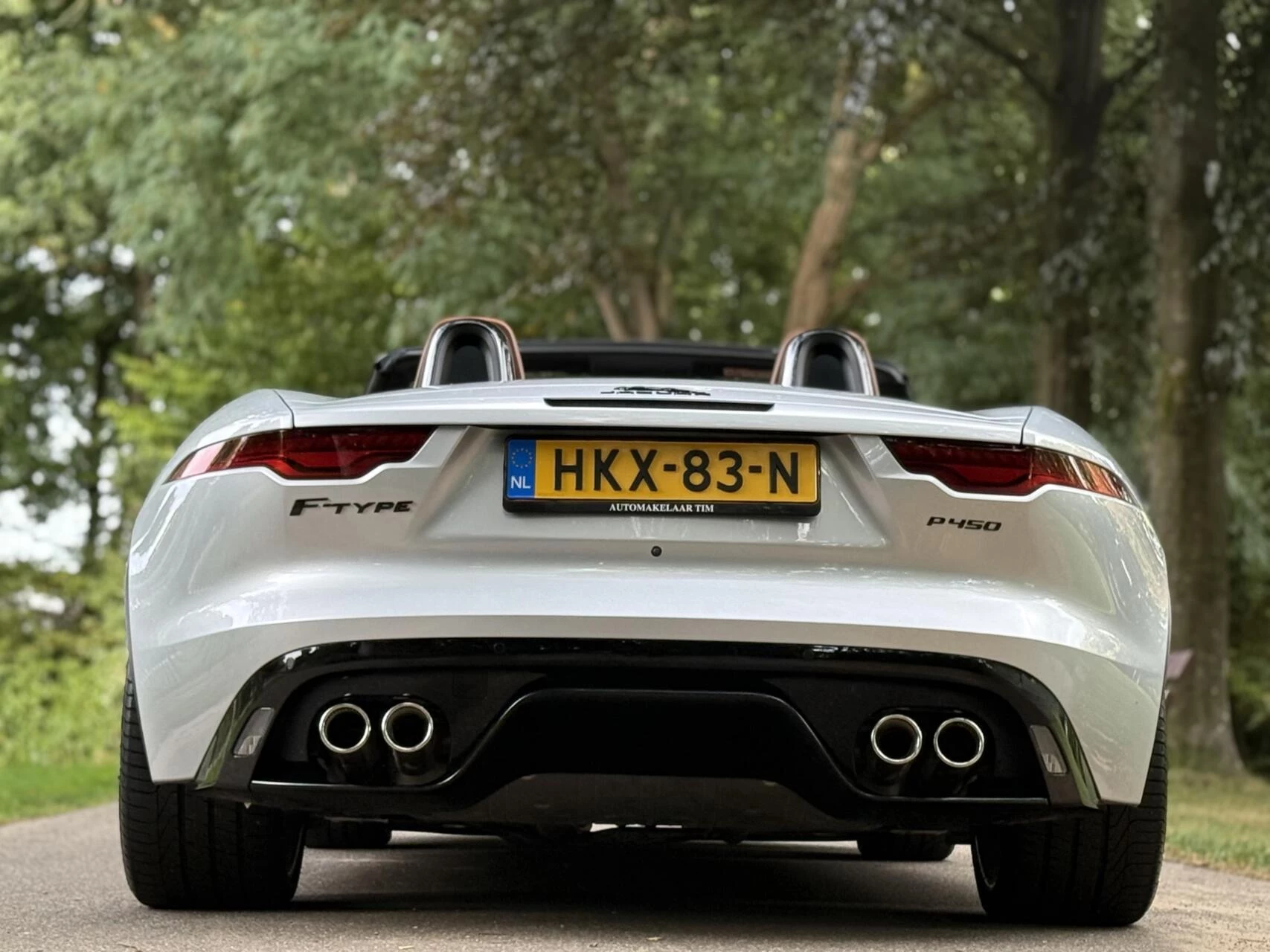 Hoofdafbeelding Jaguar F-Type