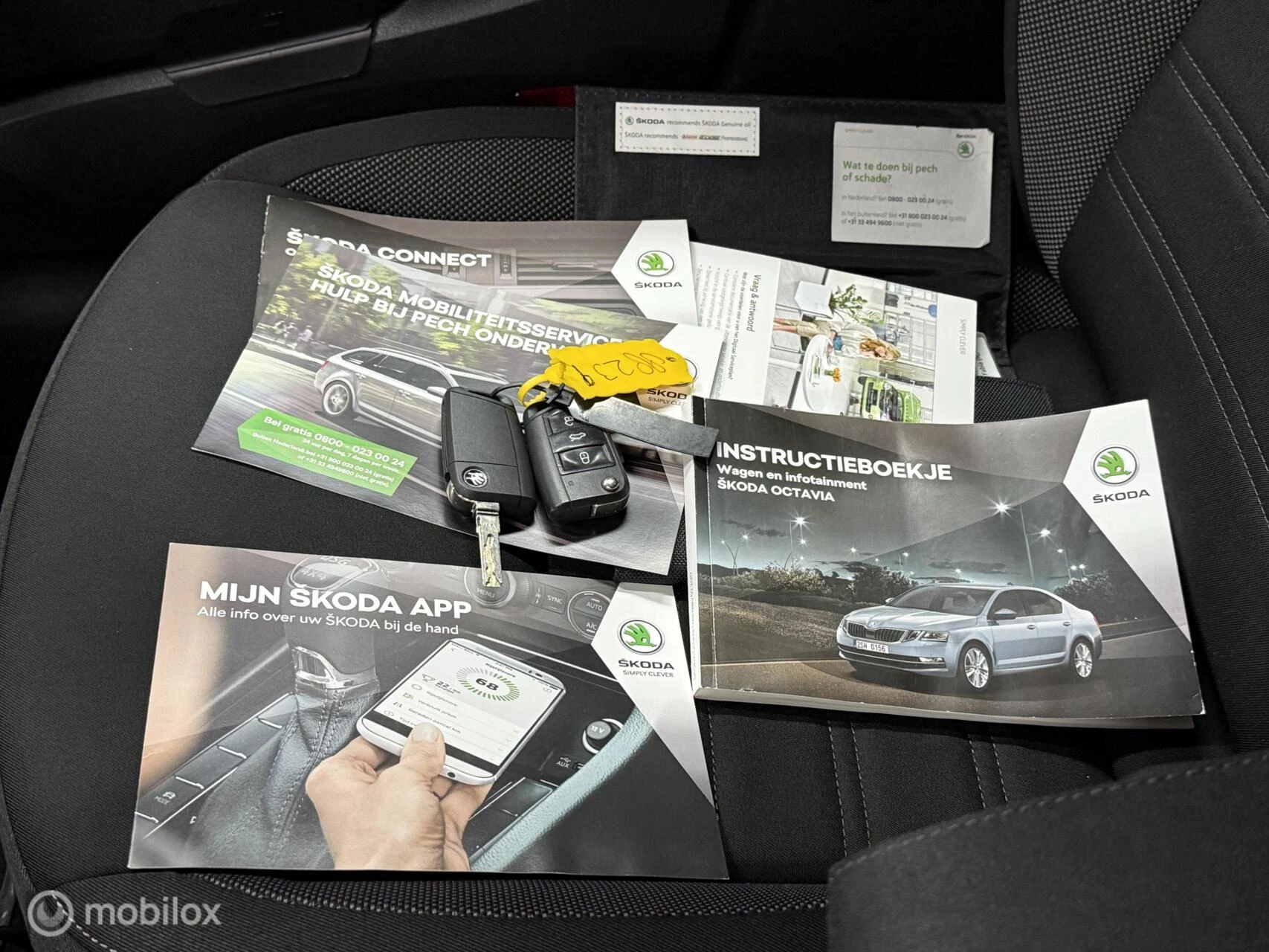 Hoofdafbeelding Škoda Octavia