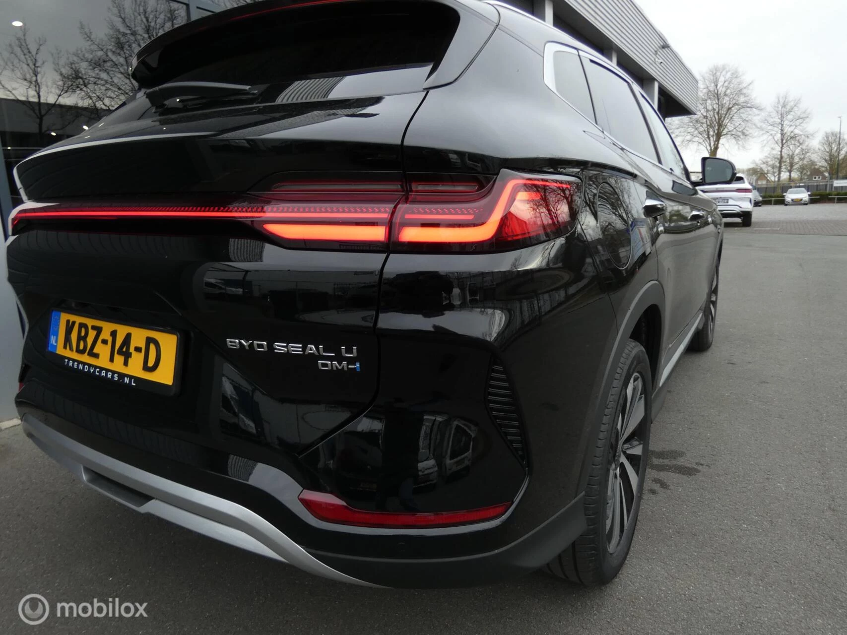 Hoofdafbeelding BYD SEAL U