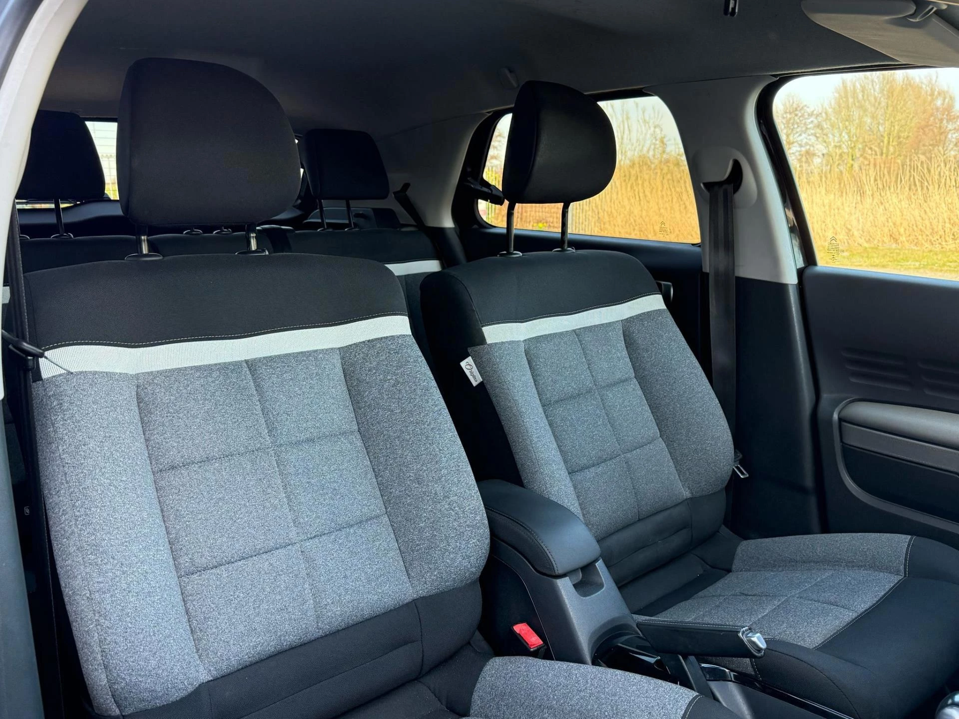 Hoofdafbeelding Citroën C4 Cactus