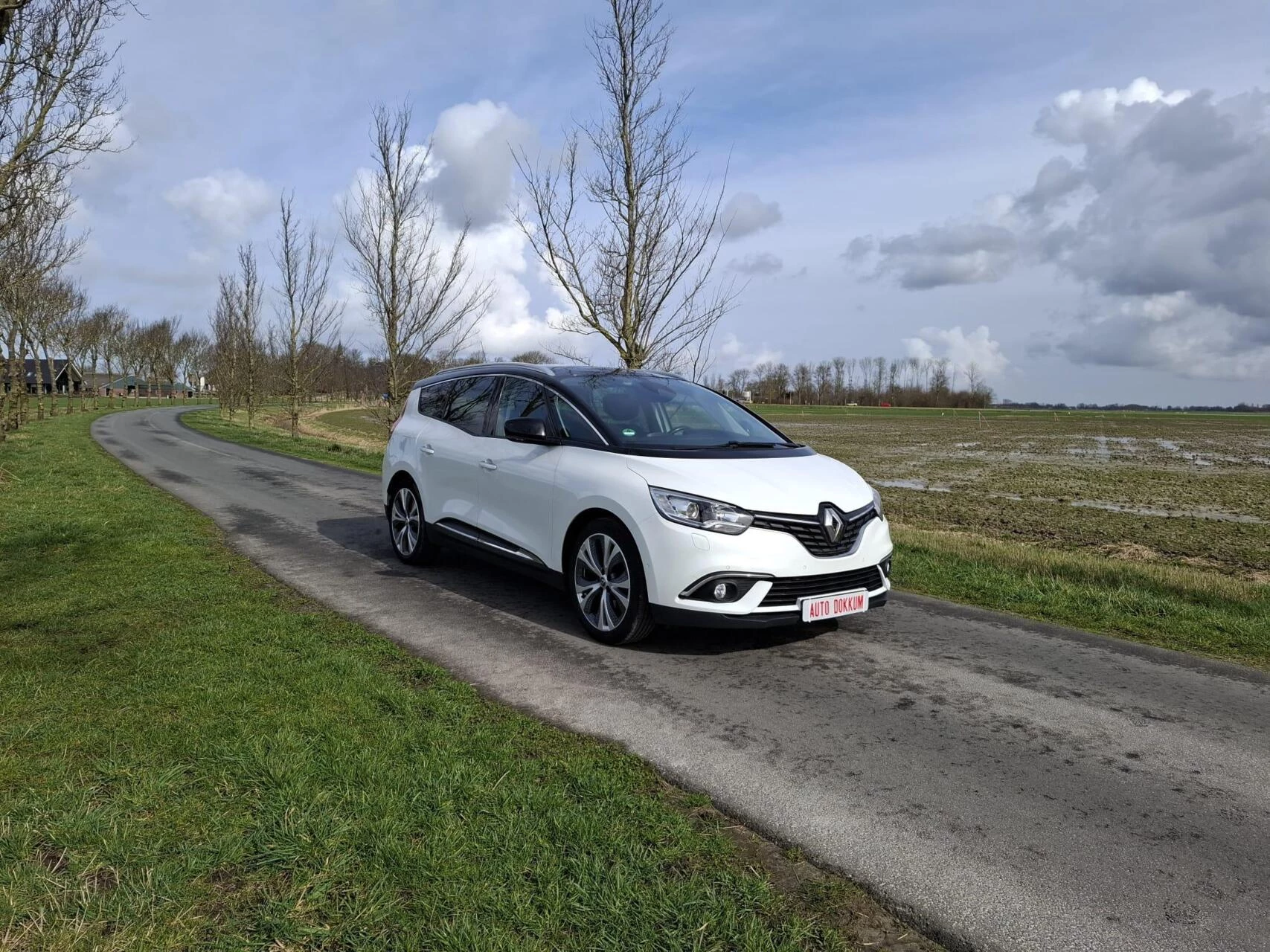 Hoofdafbeelding Renault Scénic