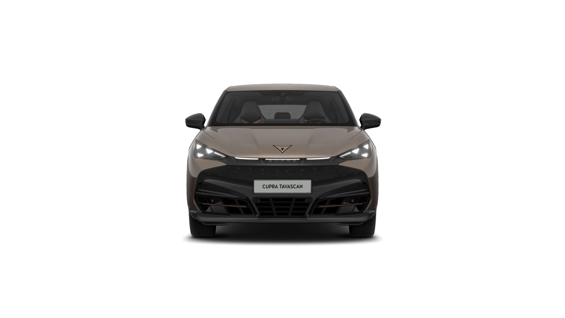 Hoofdafbeelding CUPRA Tavascan