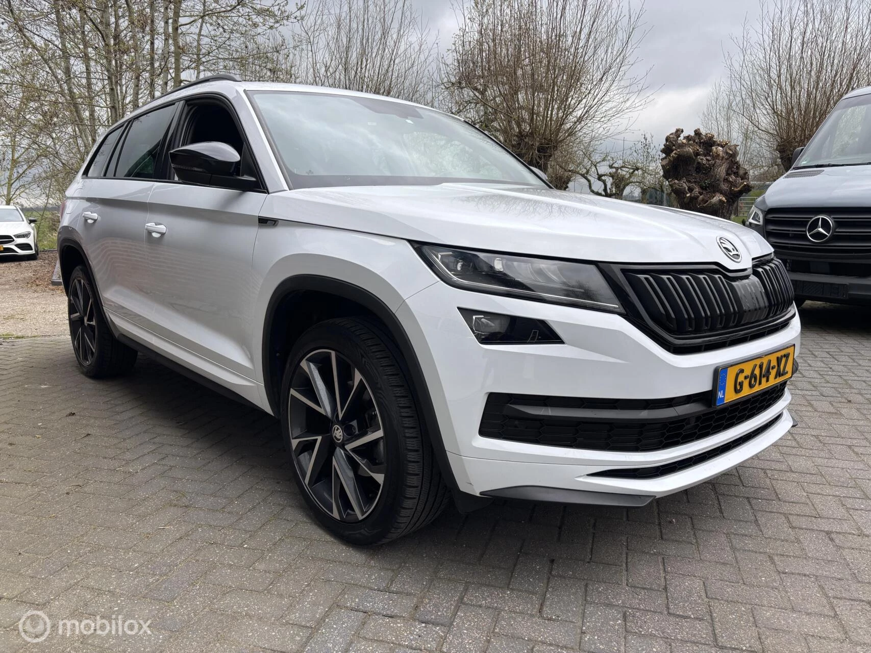 Hoofdafbeelding Škoda Kodiaq