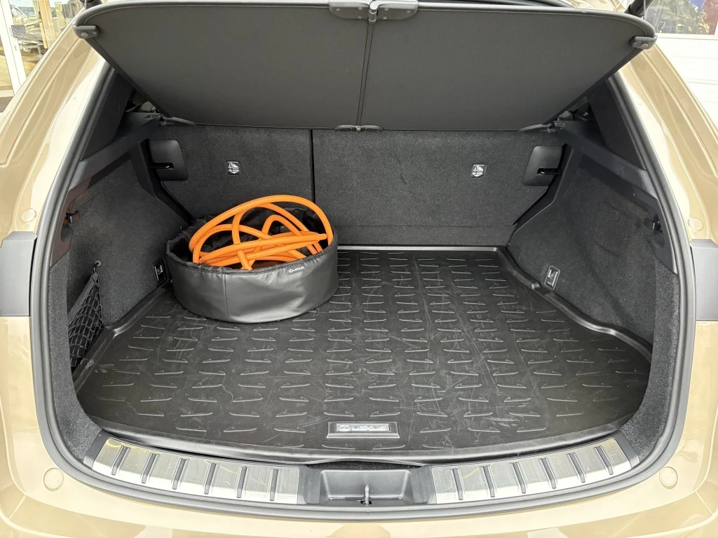 Hoofdafbeelding Lexus NX