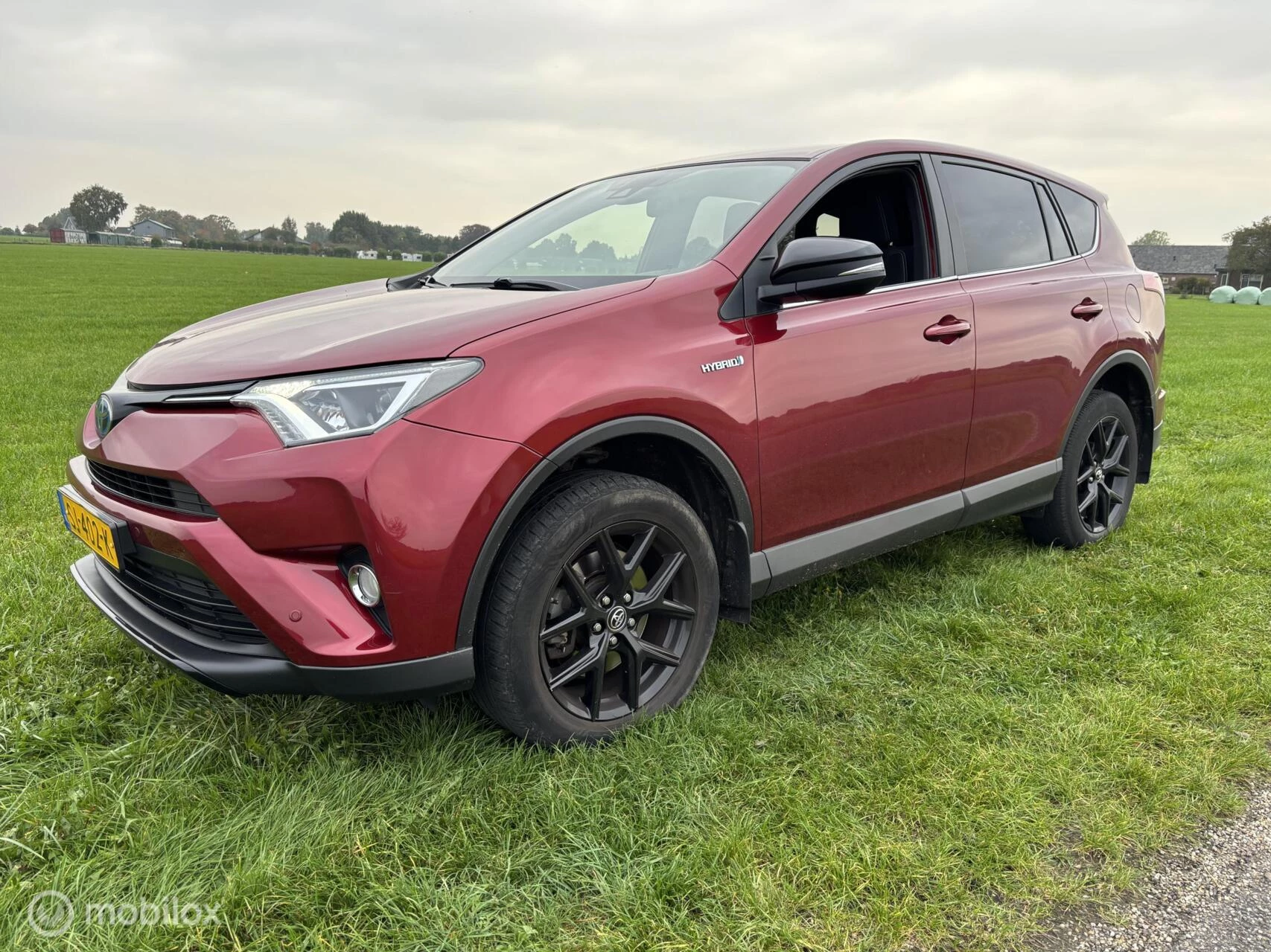 Hoofdafbeelding Toyota RAV4