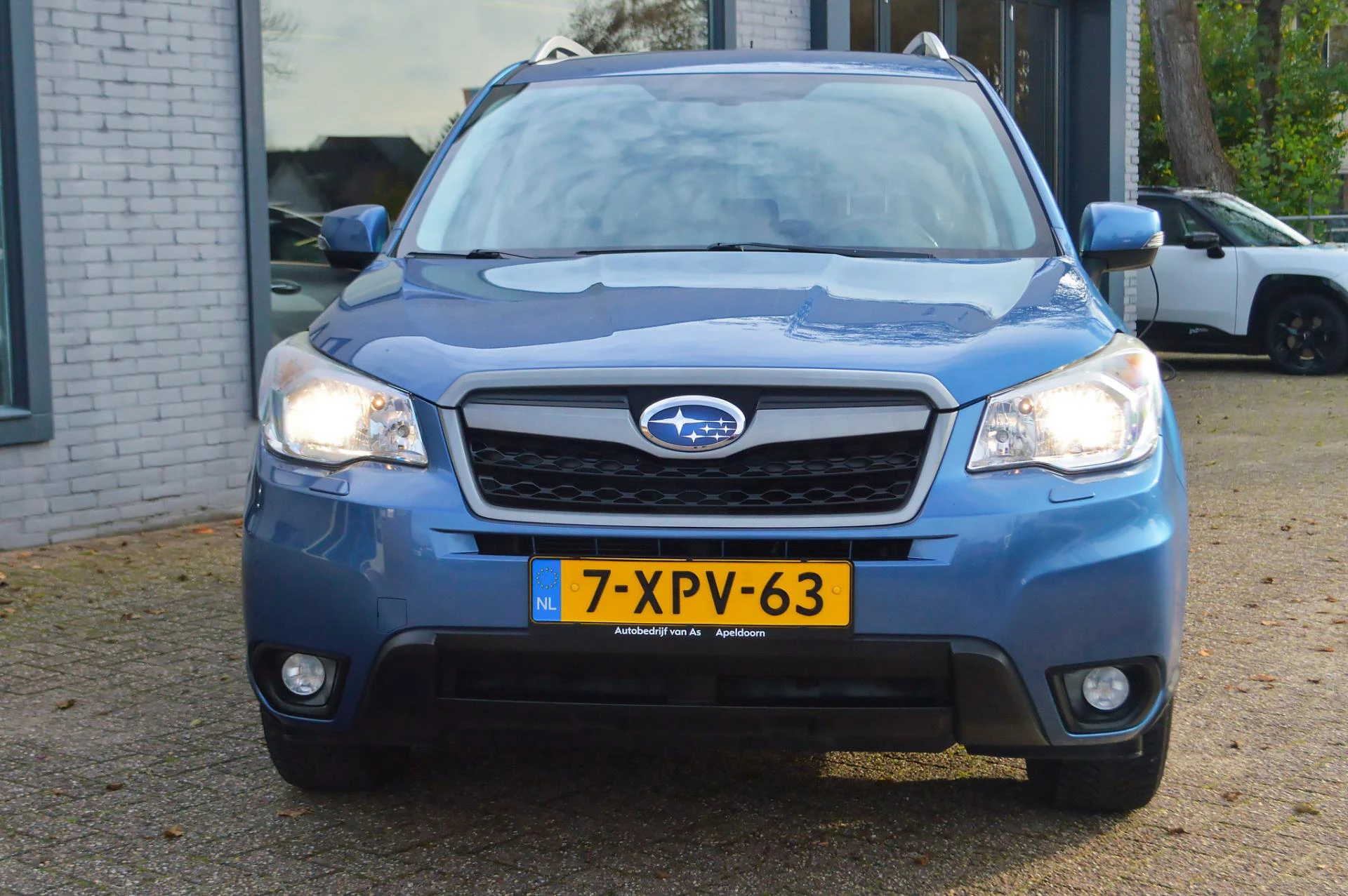 Hoofdafbeelding Subaru Forester