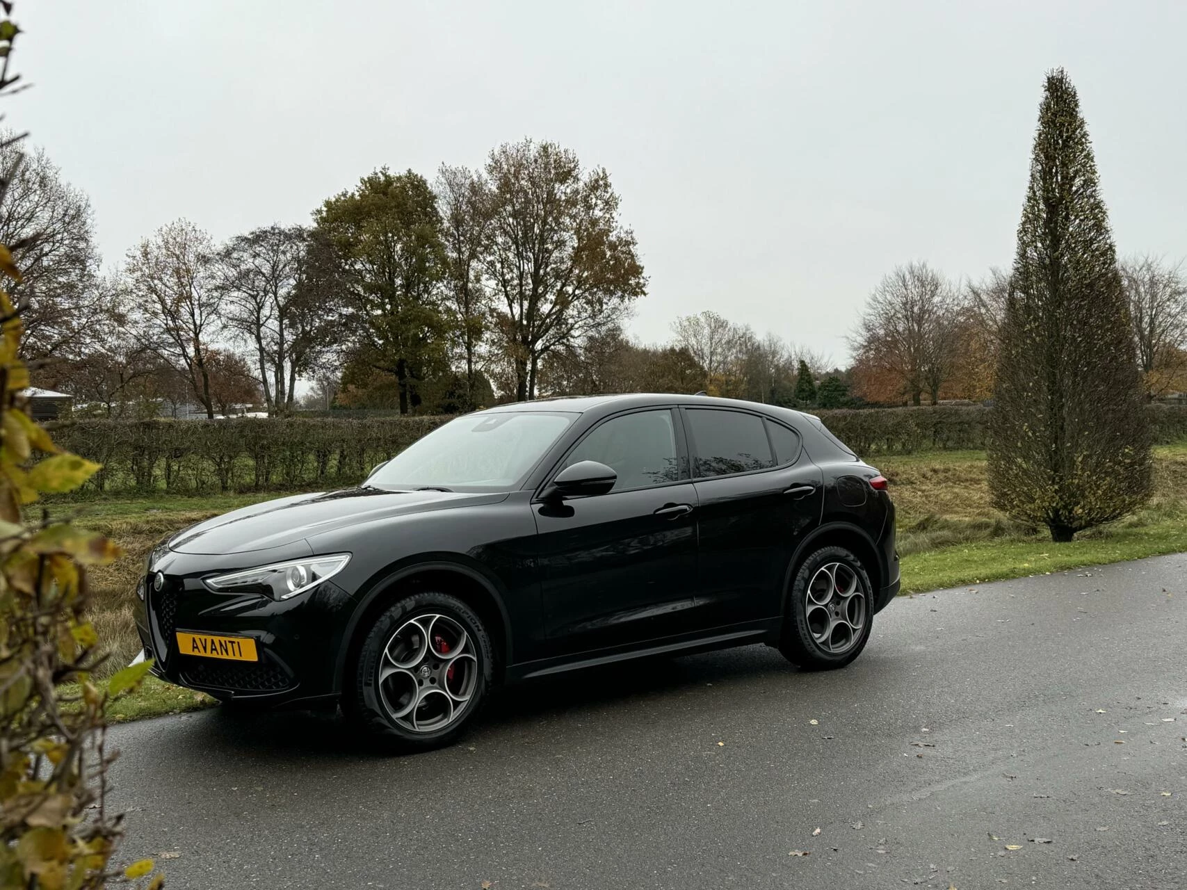 Hoofdafbeelding Alfa Romeo Stelvio