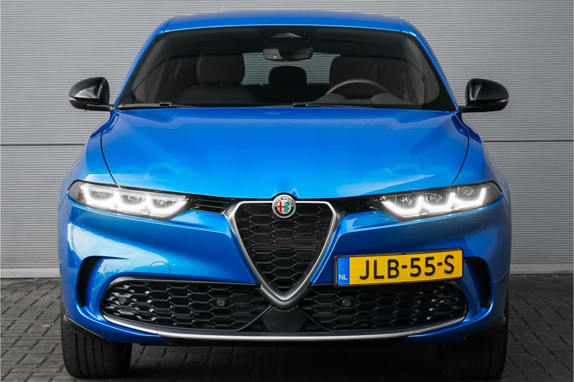 Hoofdafbeelding Alfa Romeo Tonale