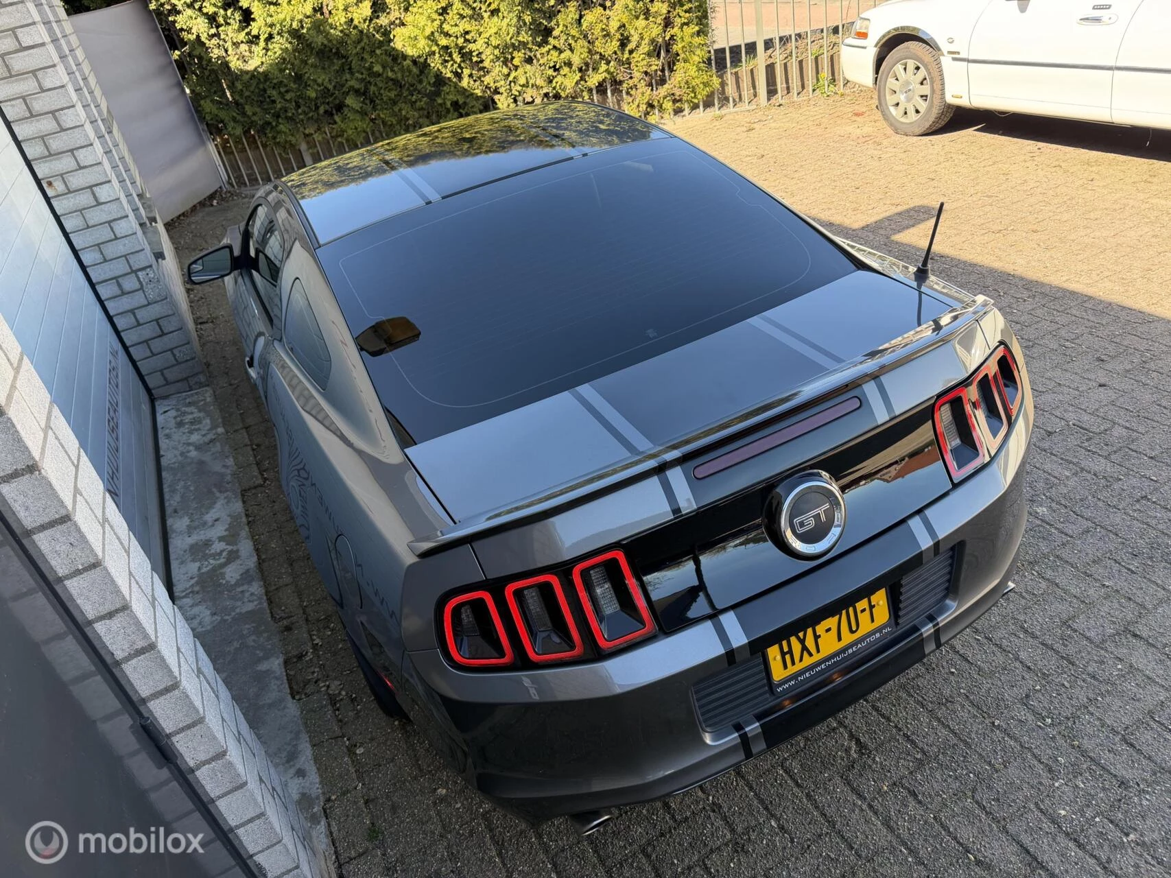 Hoofdafbeelding Ford Mustang