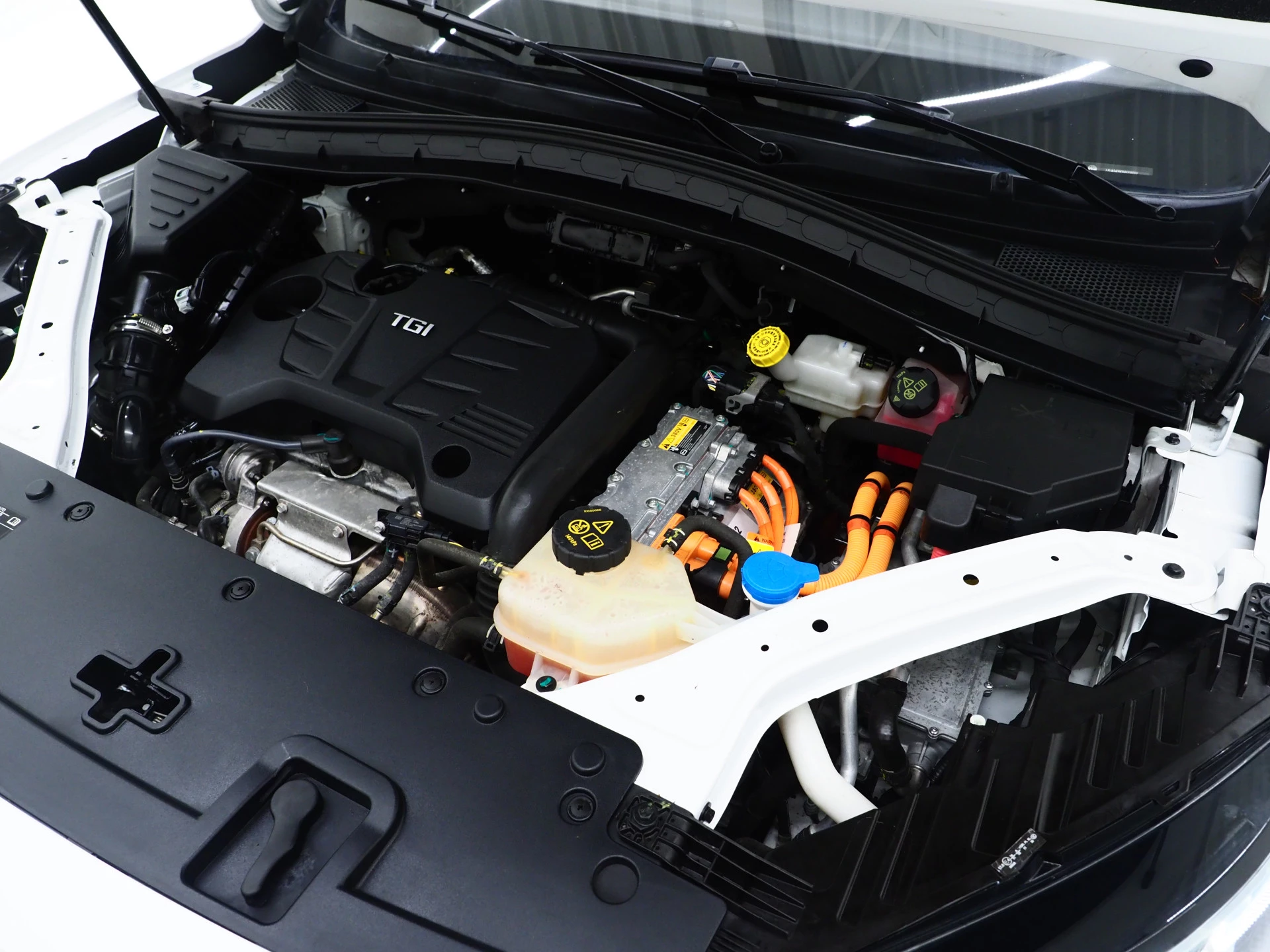 Hoofdafbeelding MG EHS