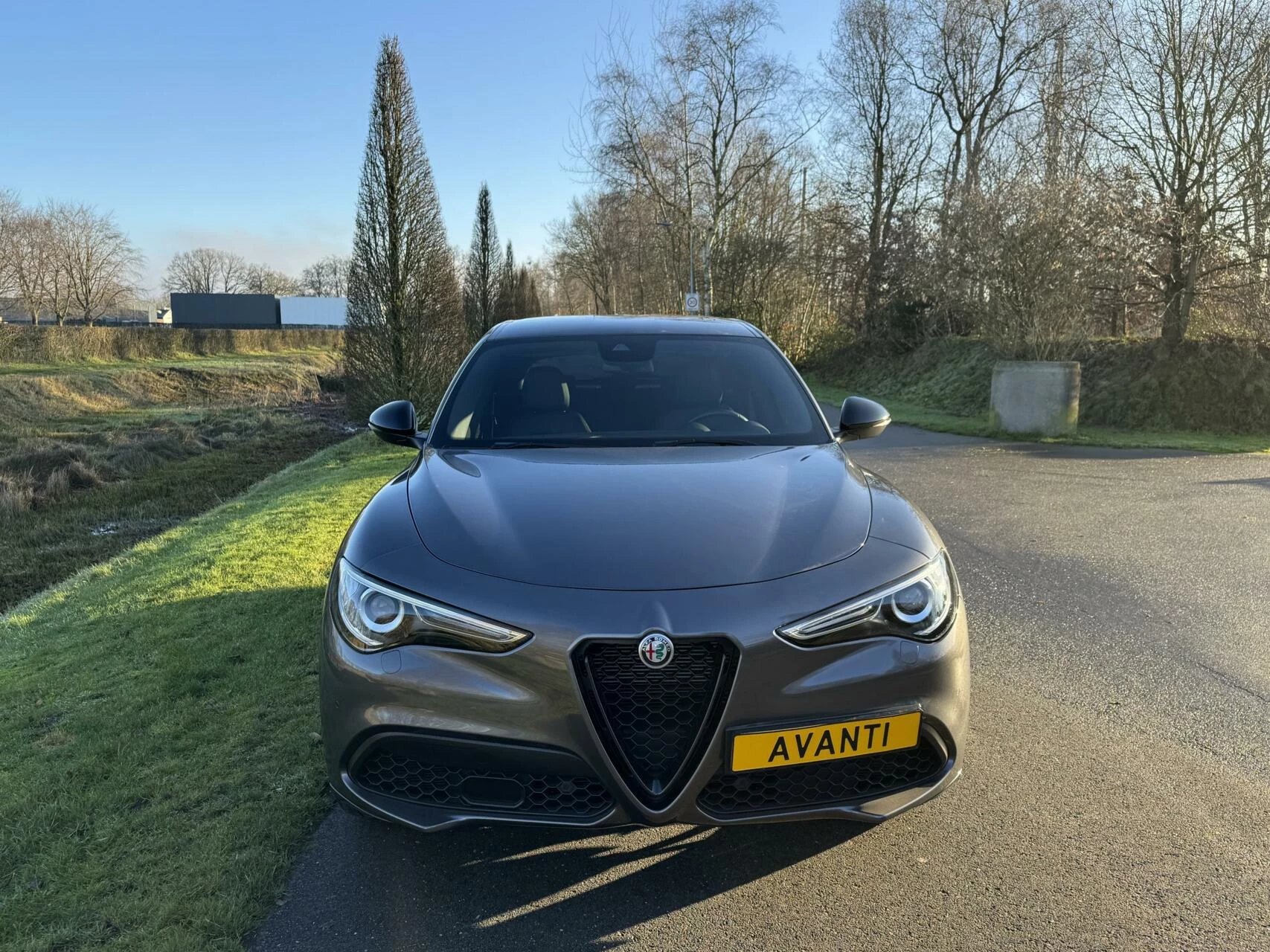 Hoofdafbeelding Alfa Romeo Stelvio