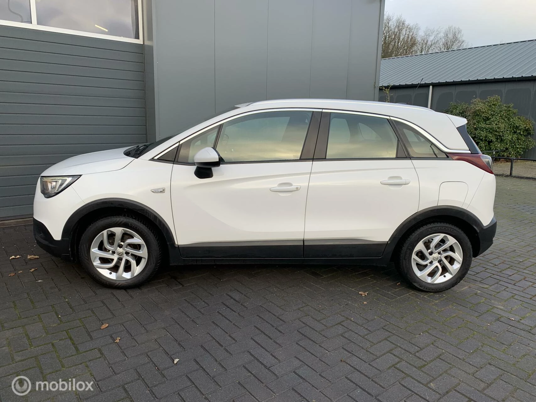 Hoofdafbeelding Opel Crossland X