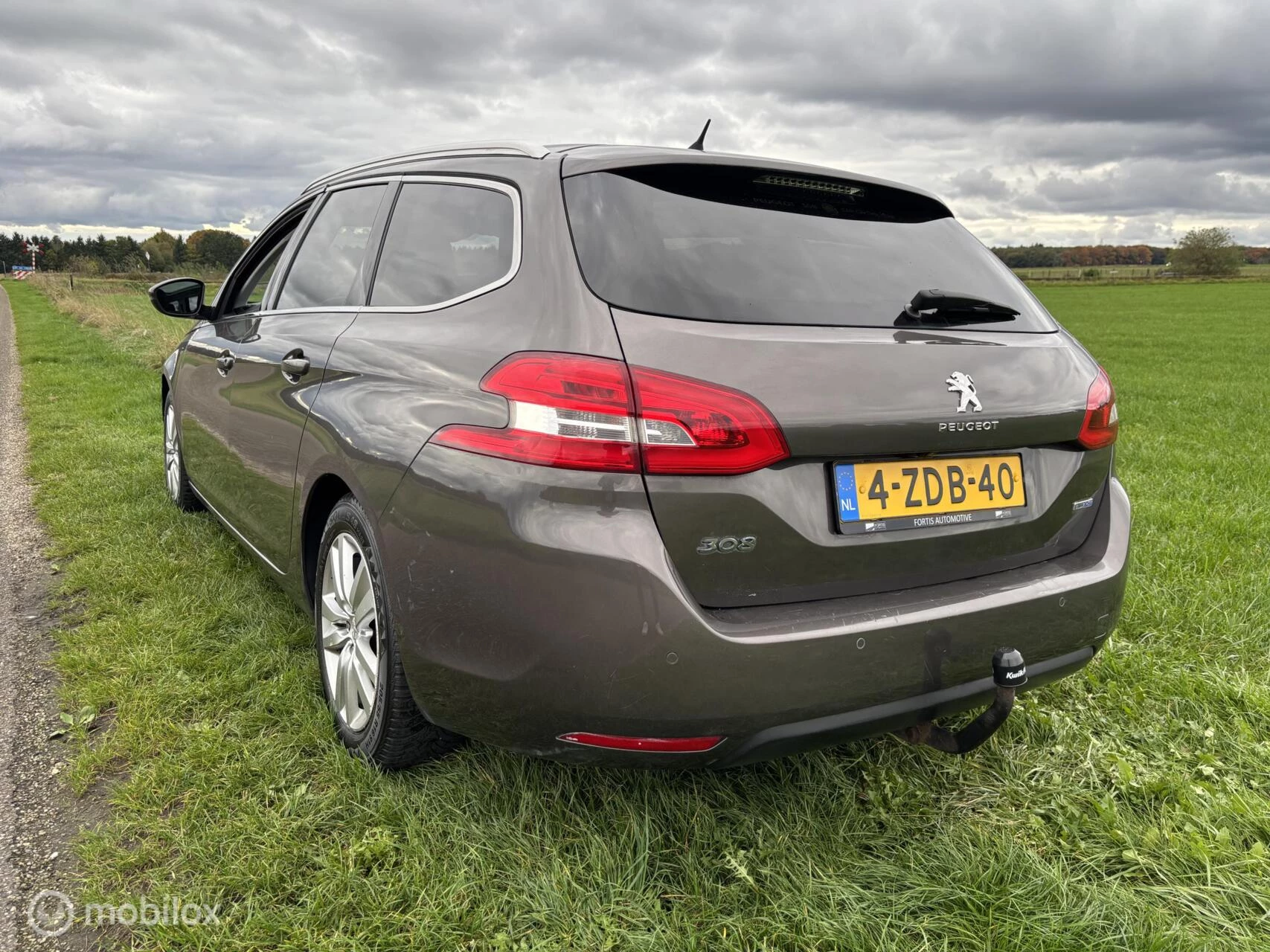 Hoofdafbeelding Peugeot 308