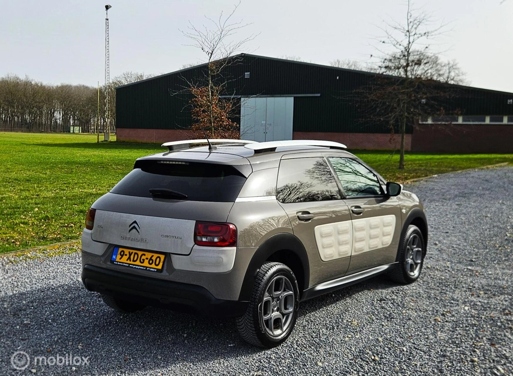 Hoofdafbeelding Citroën C4 Cactus