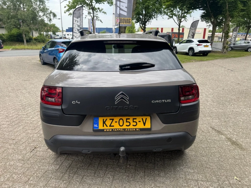 Hoofdafbeelding Citroën C4 Cactus