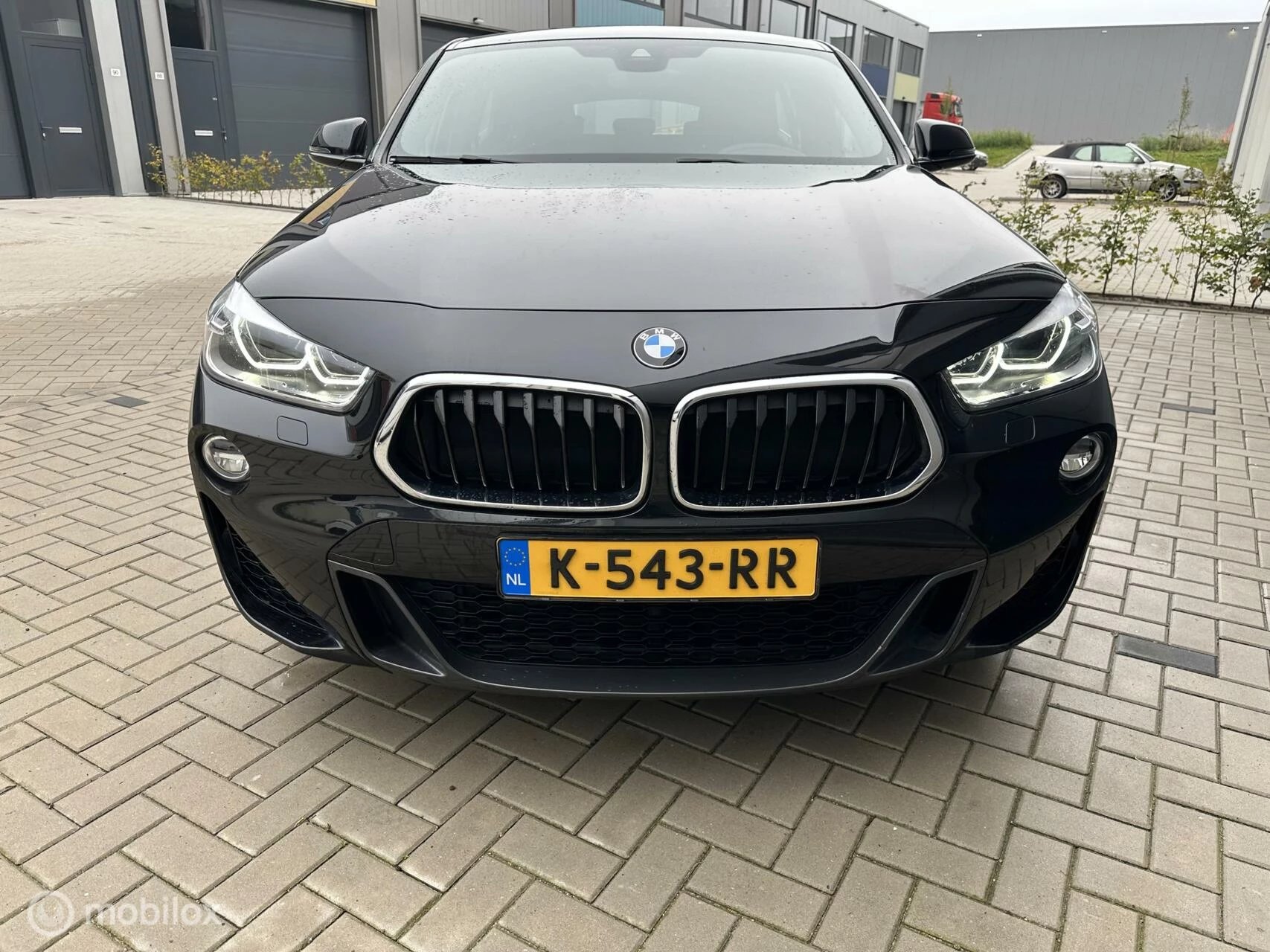 Hoofdafbeelding BMW X2