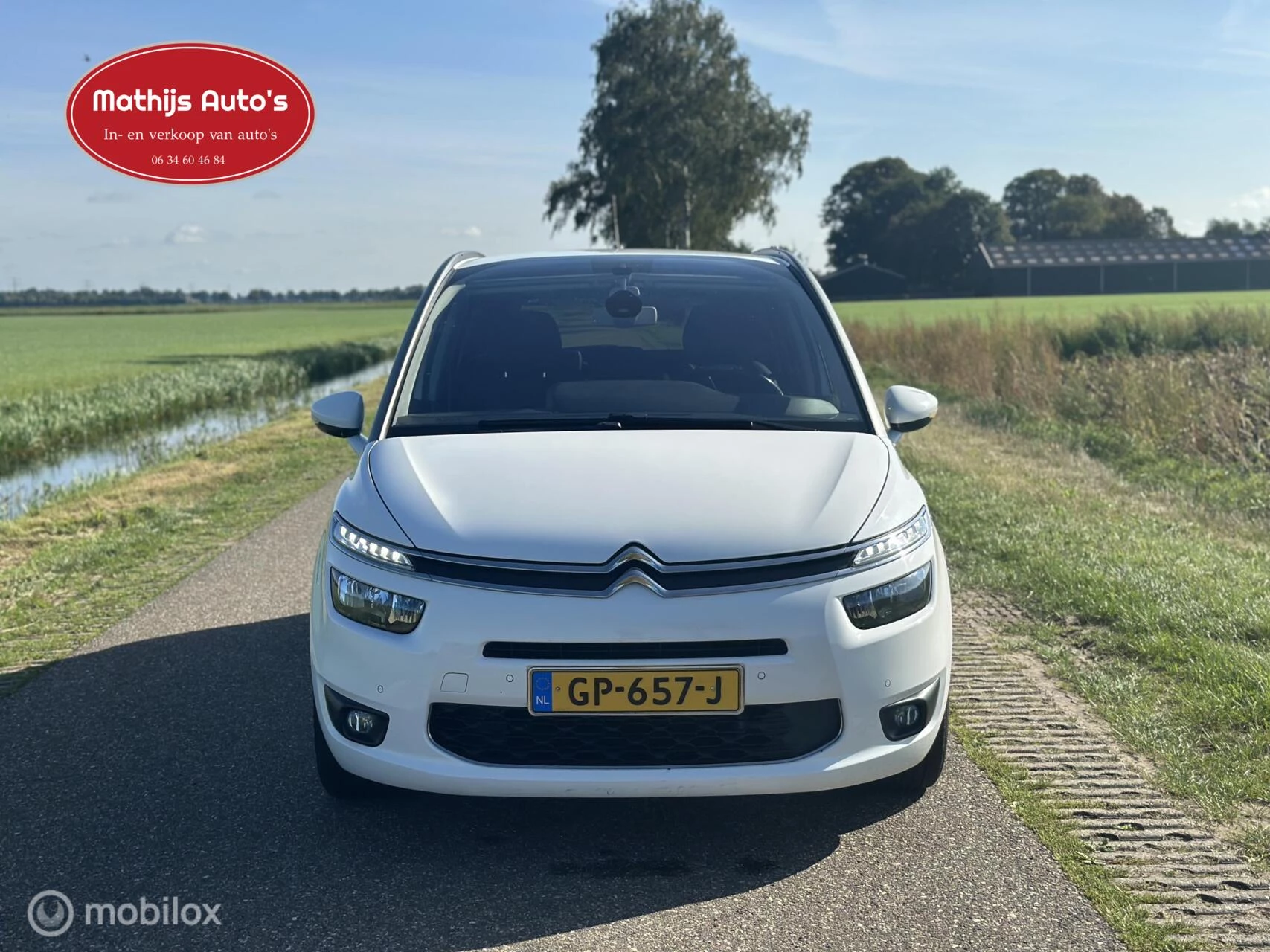 Hoofdafbeelding Citroën Grand C4 Picasso