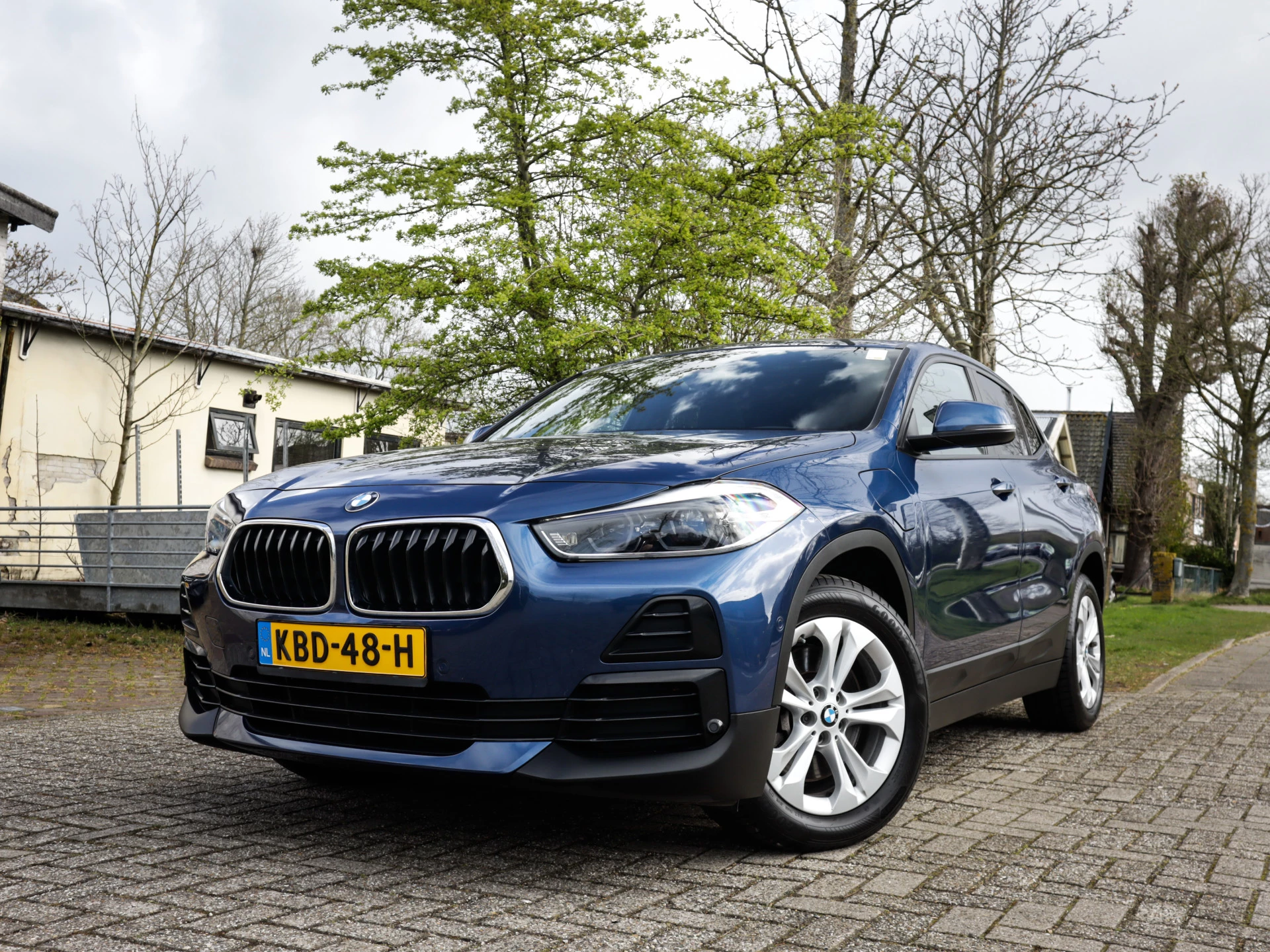 Hoofdafbeelding BMW X2