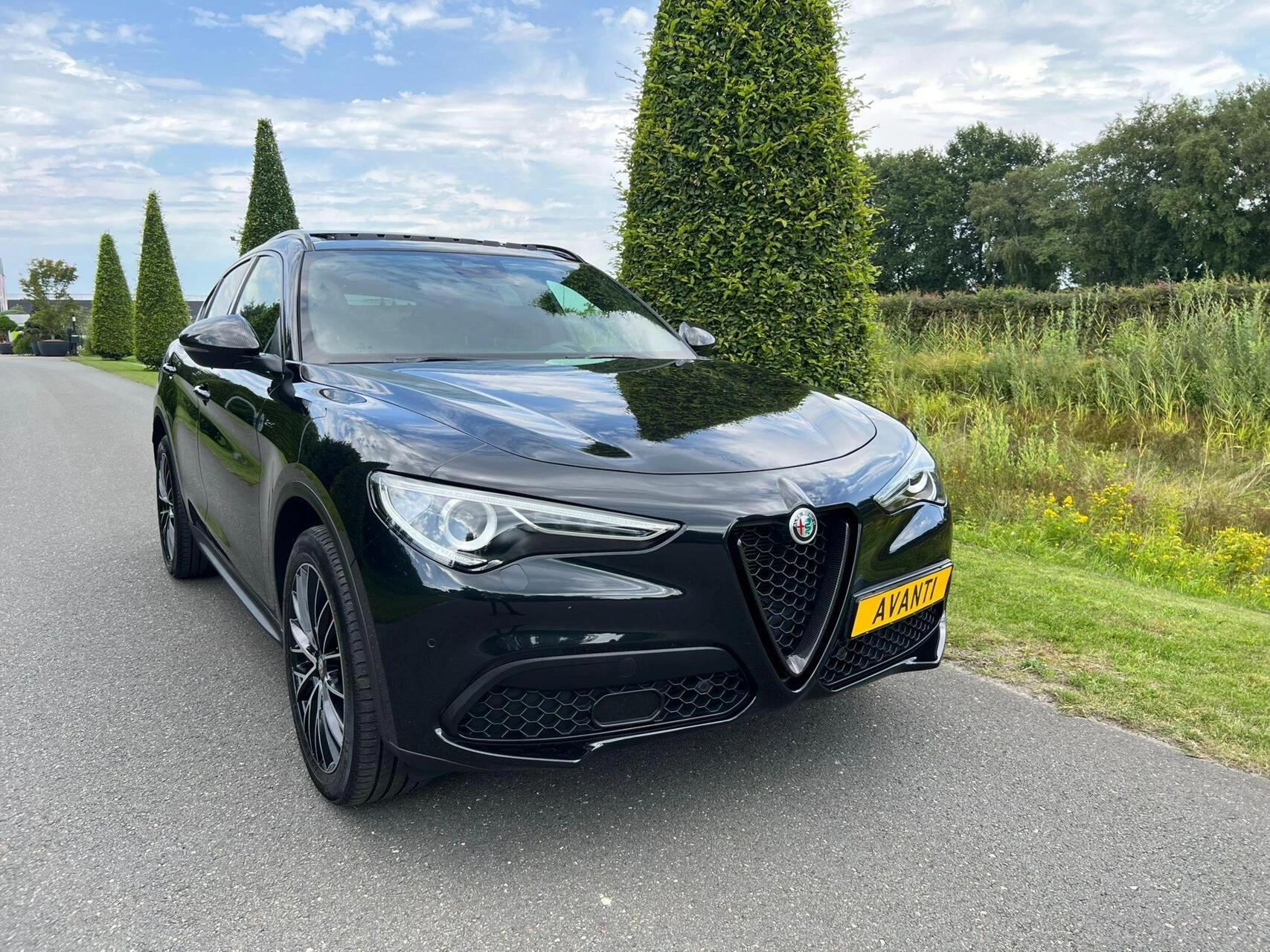 Hoofdafbeelding Alfa Romeo Stelvio