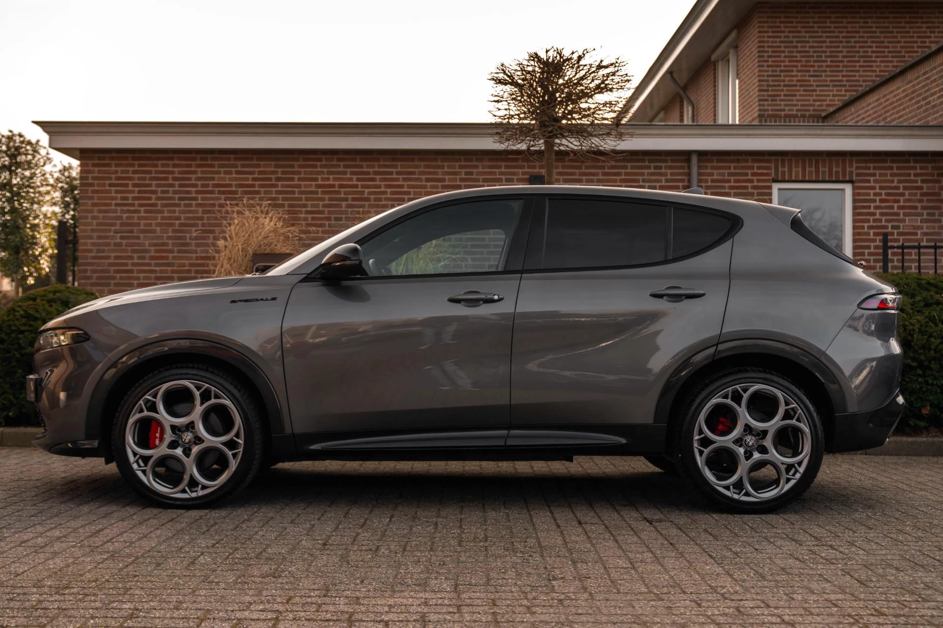 Hoofdafbeelding Alfa Romeo Tonale