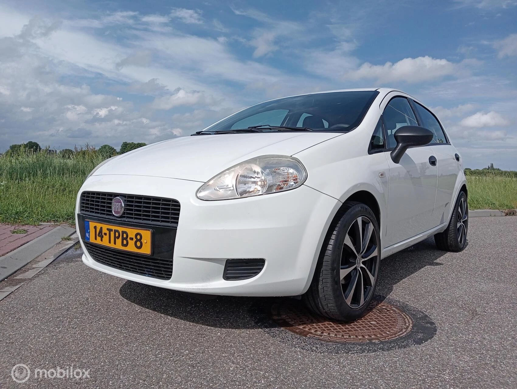 Hoofdafbeelding Fiat Punto
