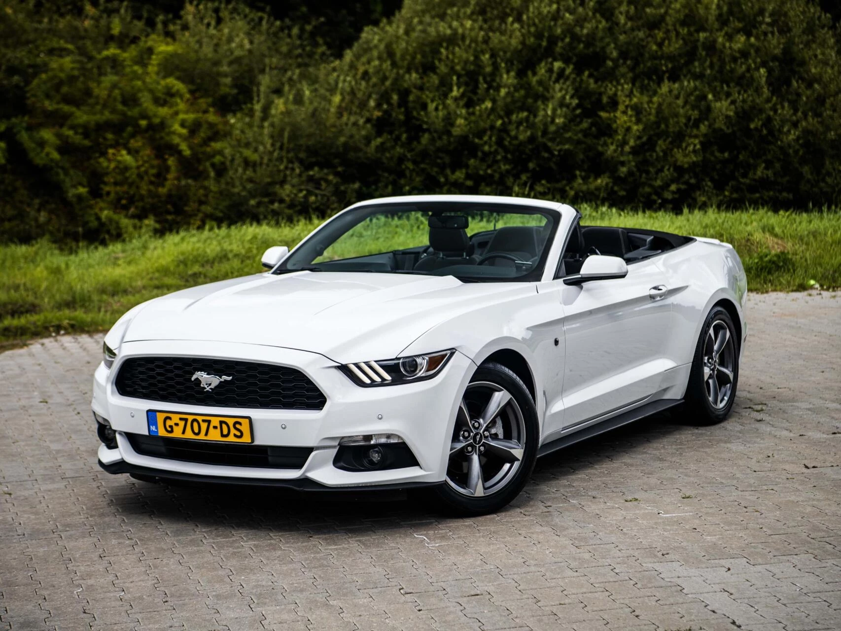 Hoofdafbeelding Ford Mustang