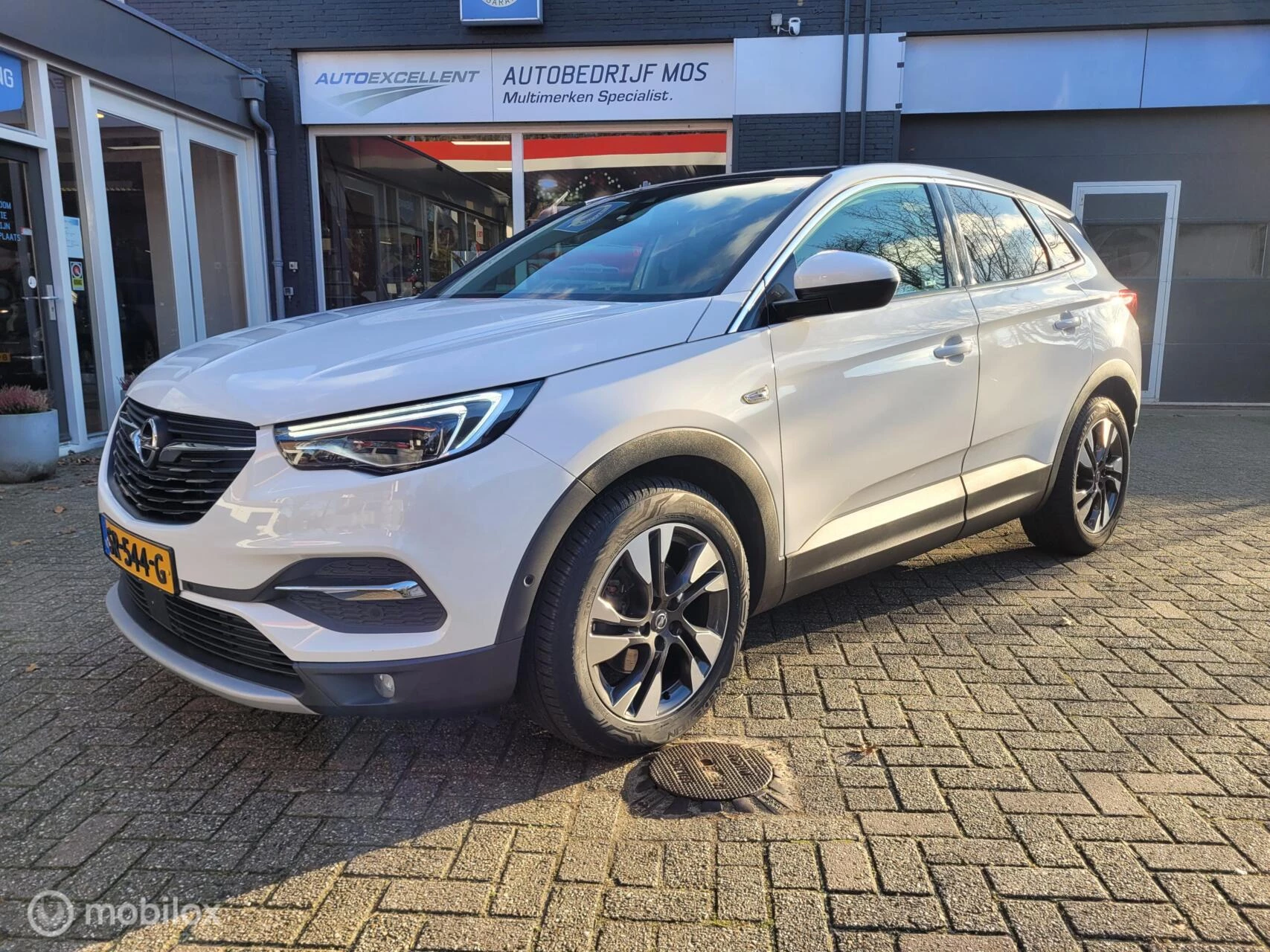 Hoofdafbeelding Opel Grandland X