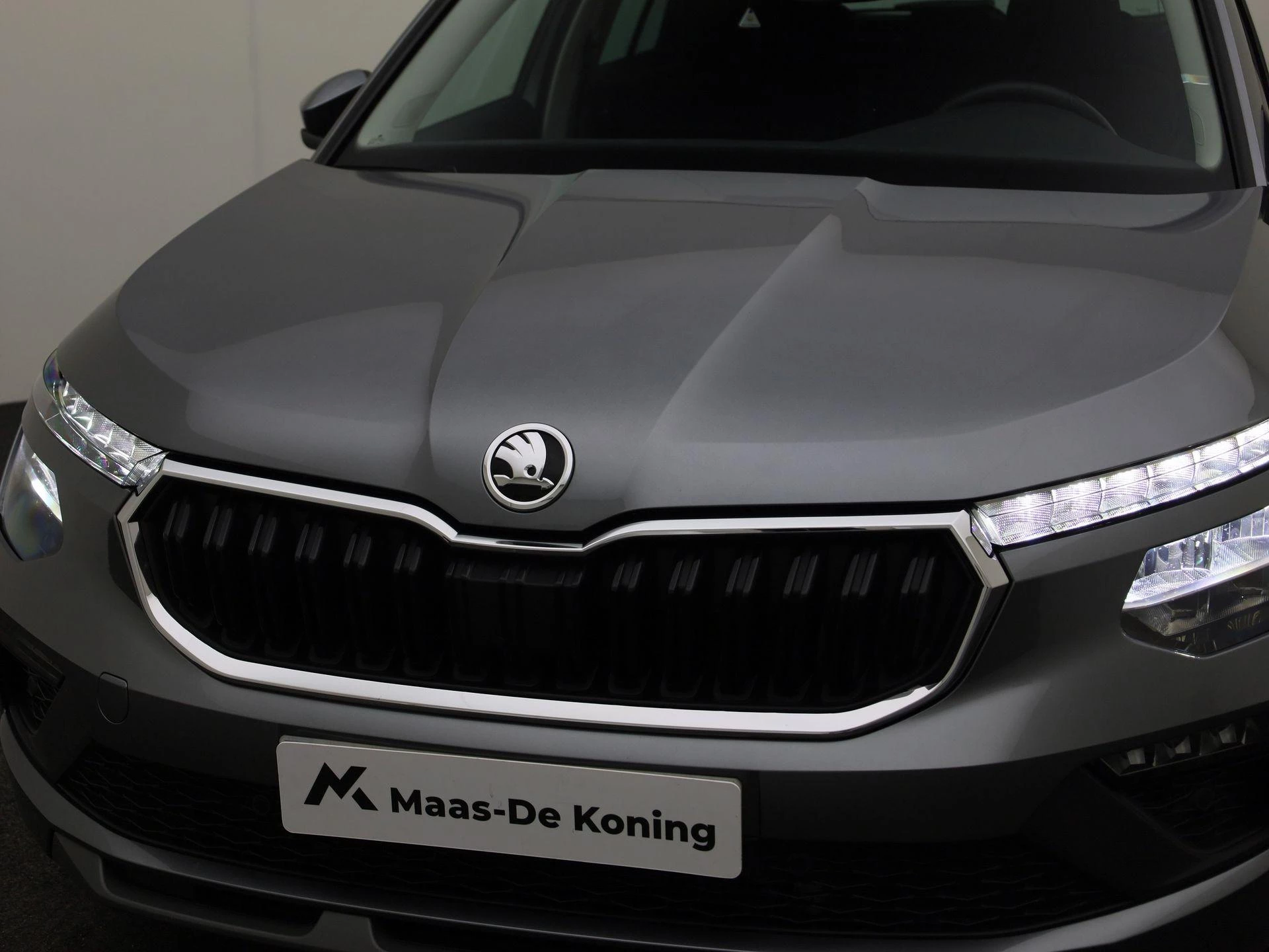 Hoofdafbeelding Škoda Kamiq