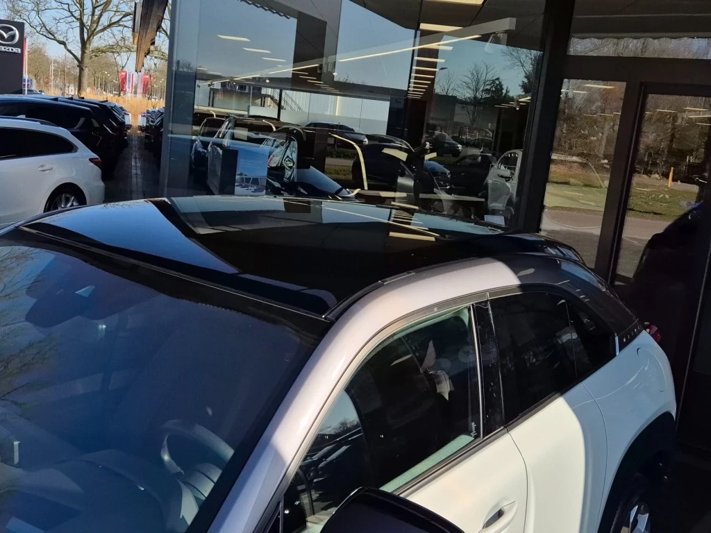 Hoofdafbeelding Mazda MX-30