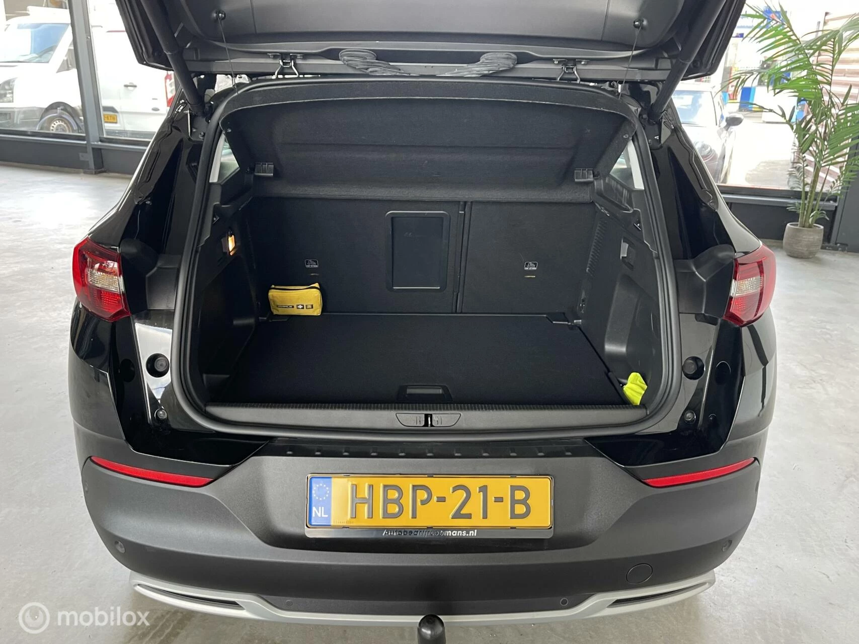 Hoofdafbeelding Opel Grandland X