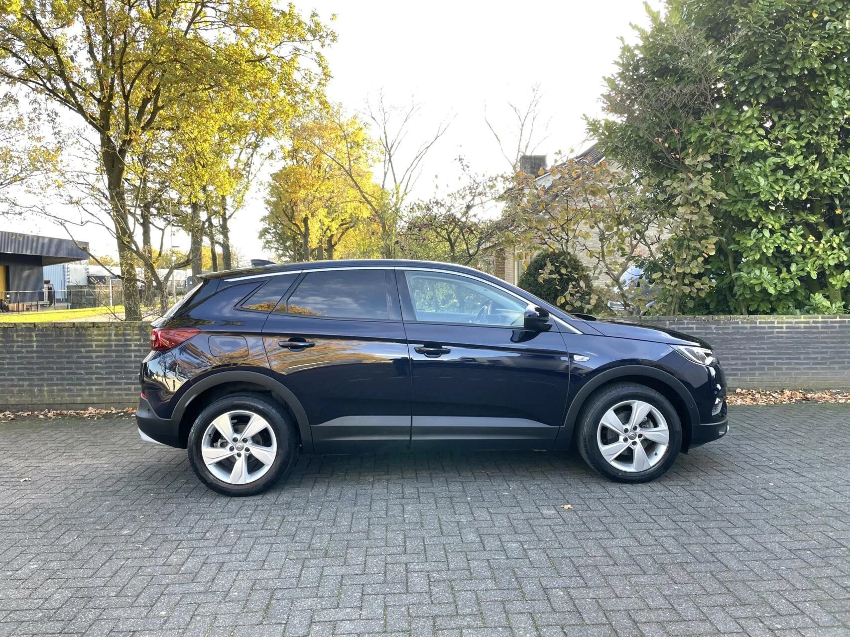 Hoofdafbeelding Opel Grandland X