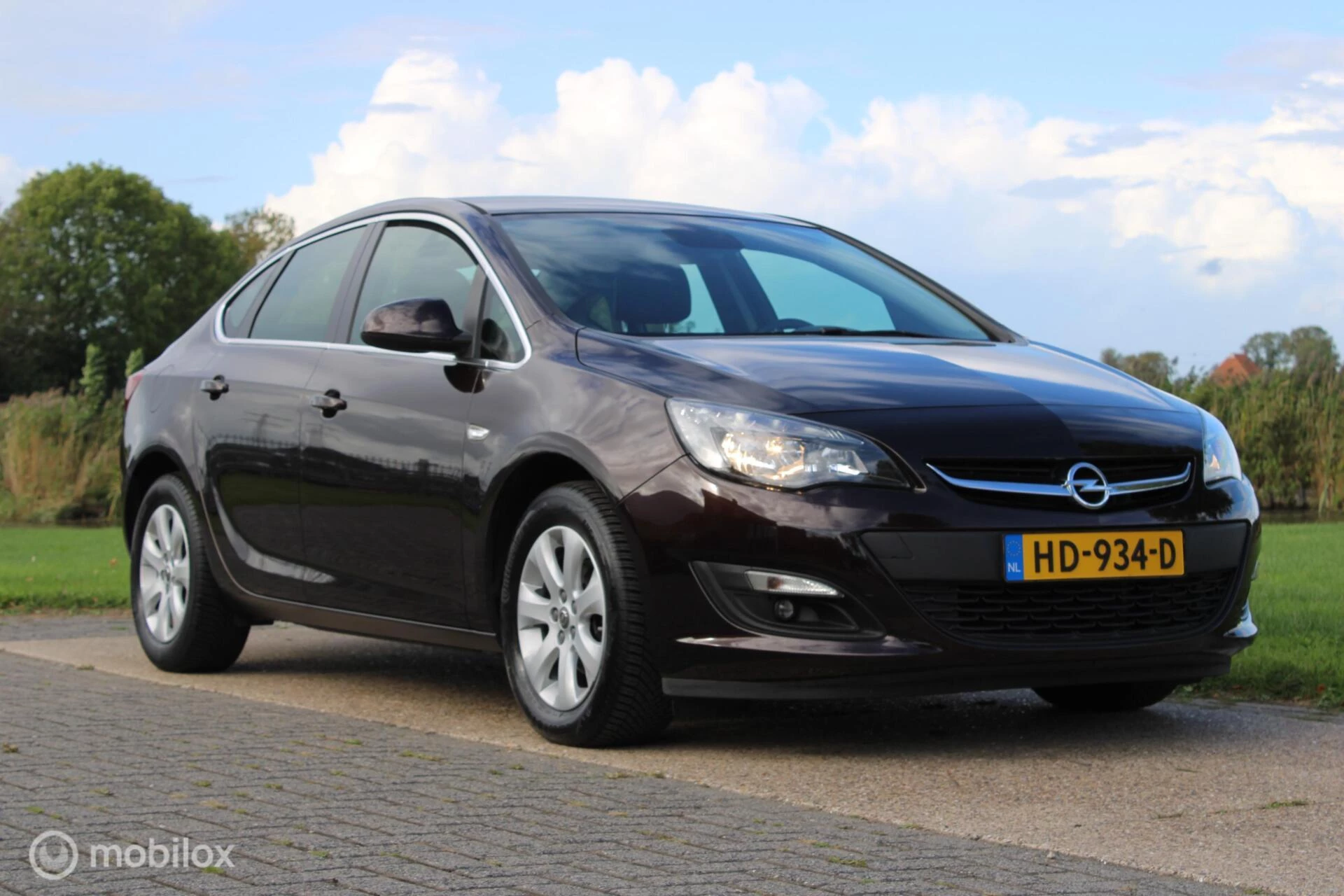 Hoofdafbeelding Opel Astra